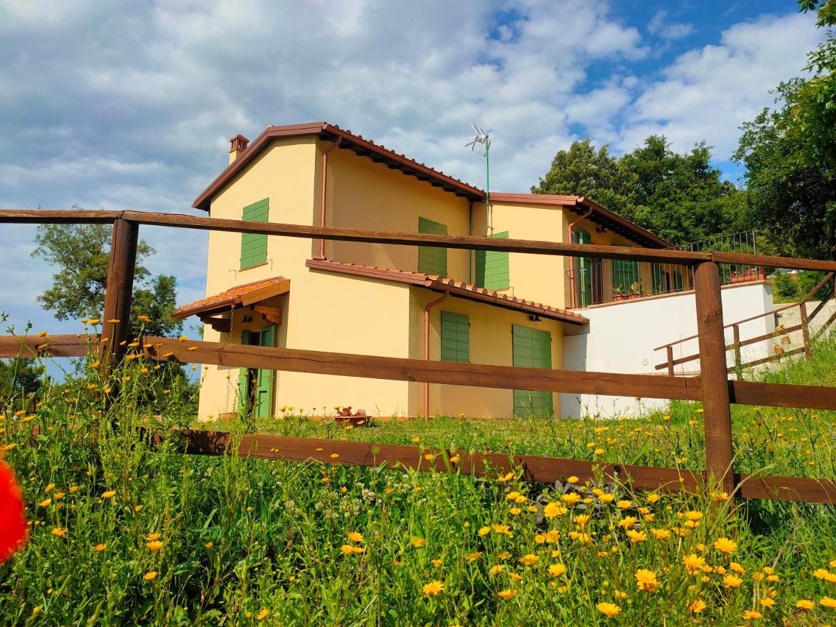 Villa sulle Colline Toscane con Piscina photo 5