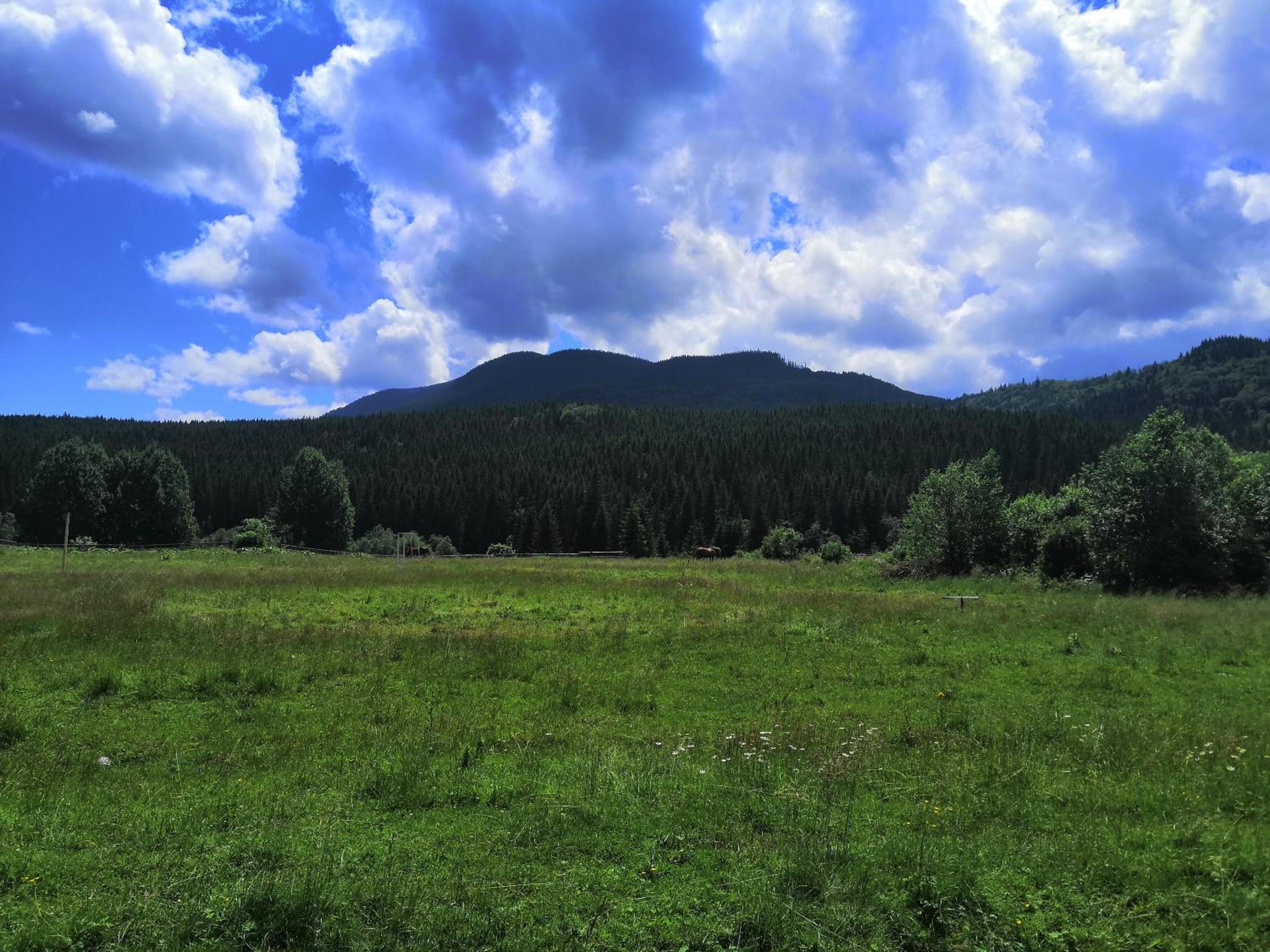 Photo 36