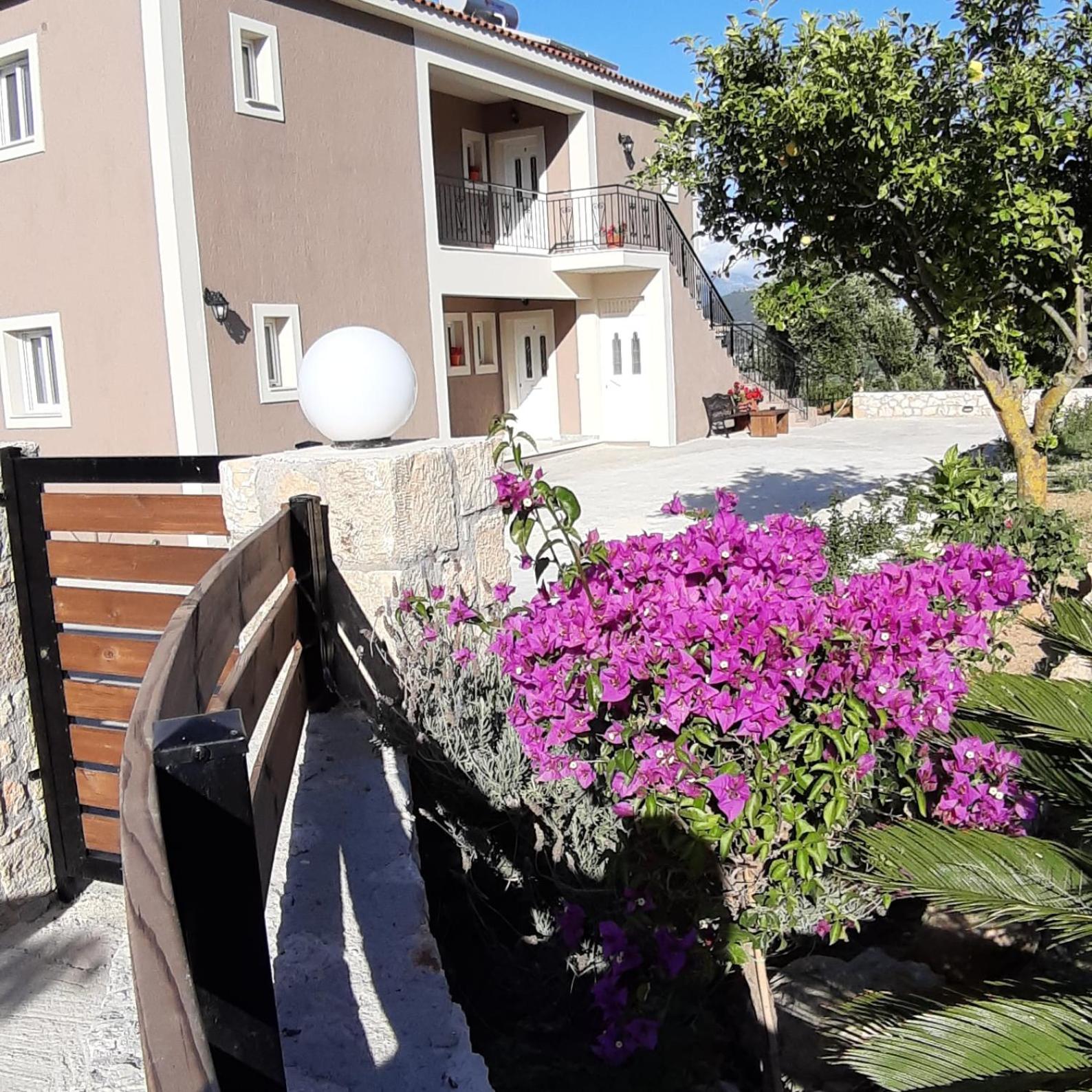 Photo 25