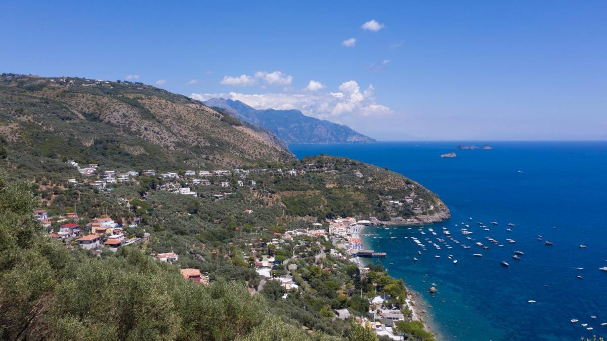 Olga's Relais photo 3