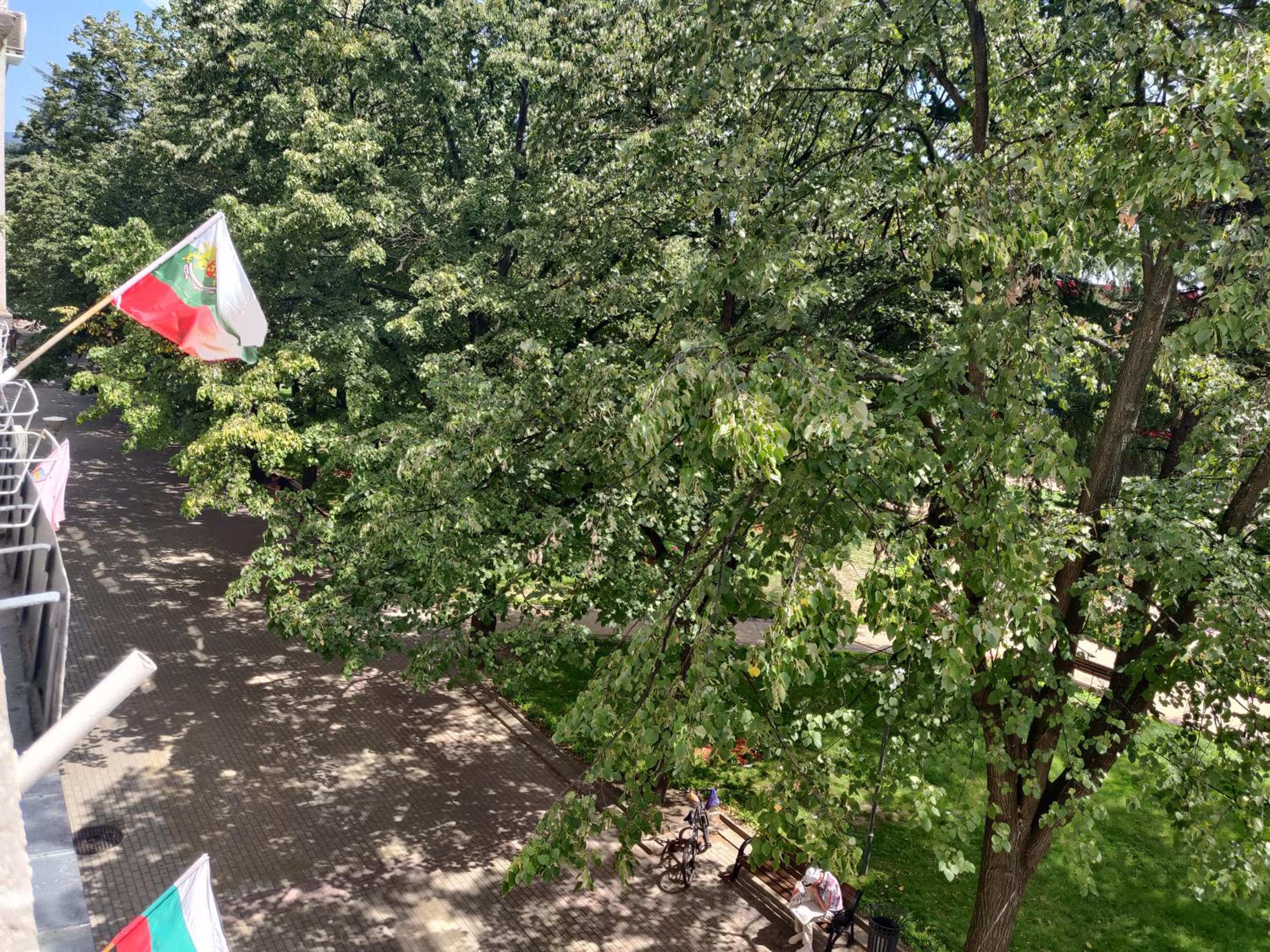Photo 17