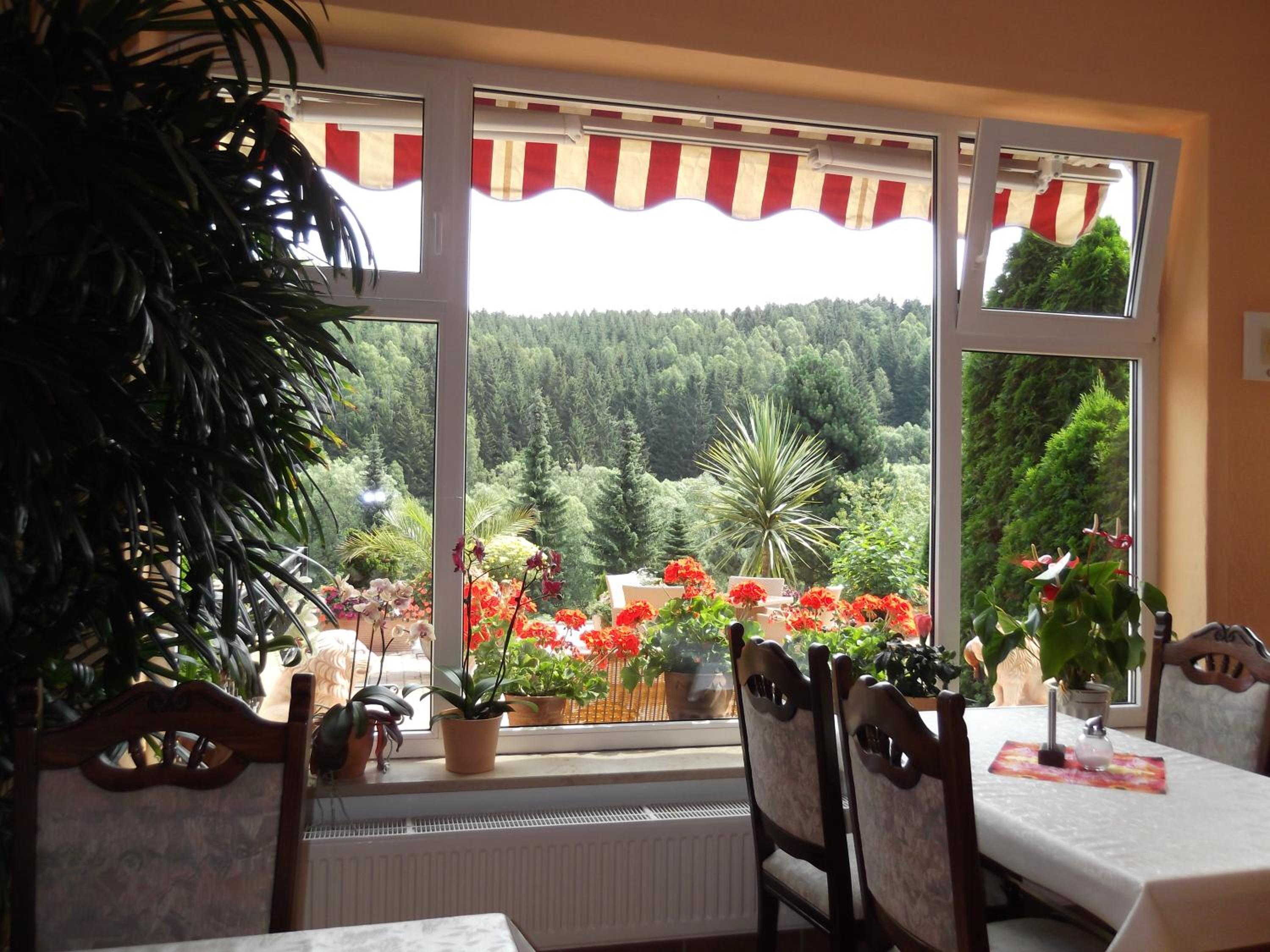 Pension Waldhof view 3