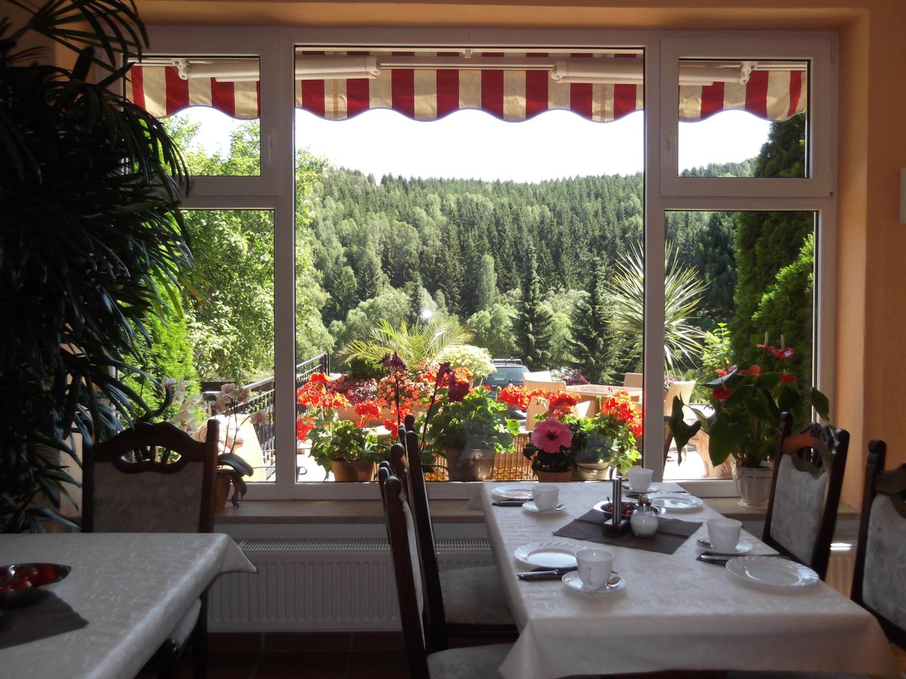 Pension Waldhof view 5
