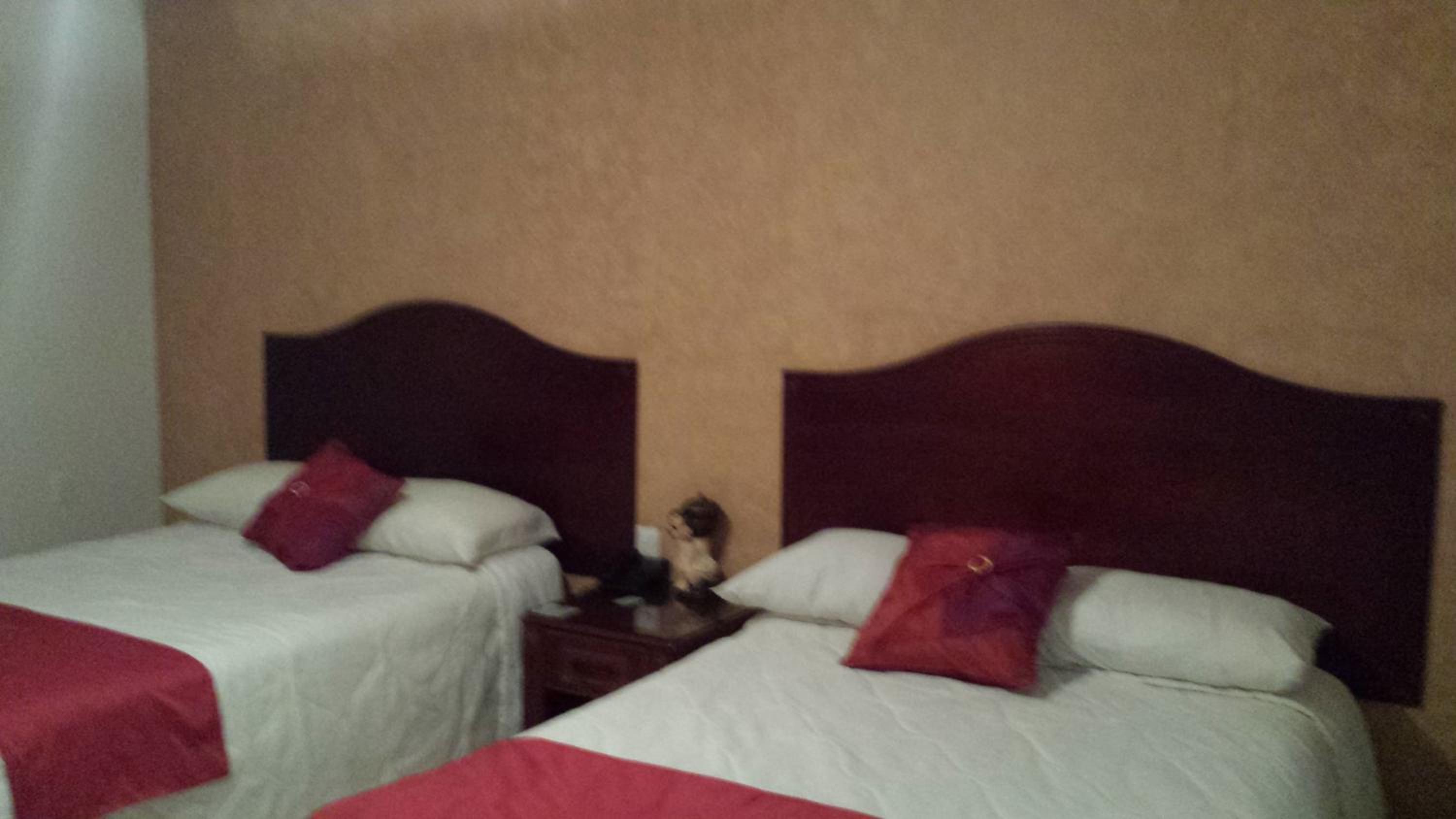 Hotel Anber, photo 43