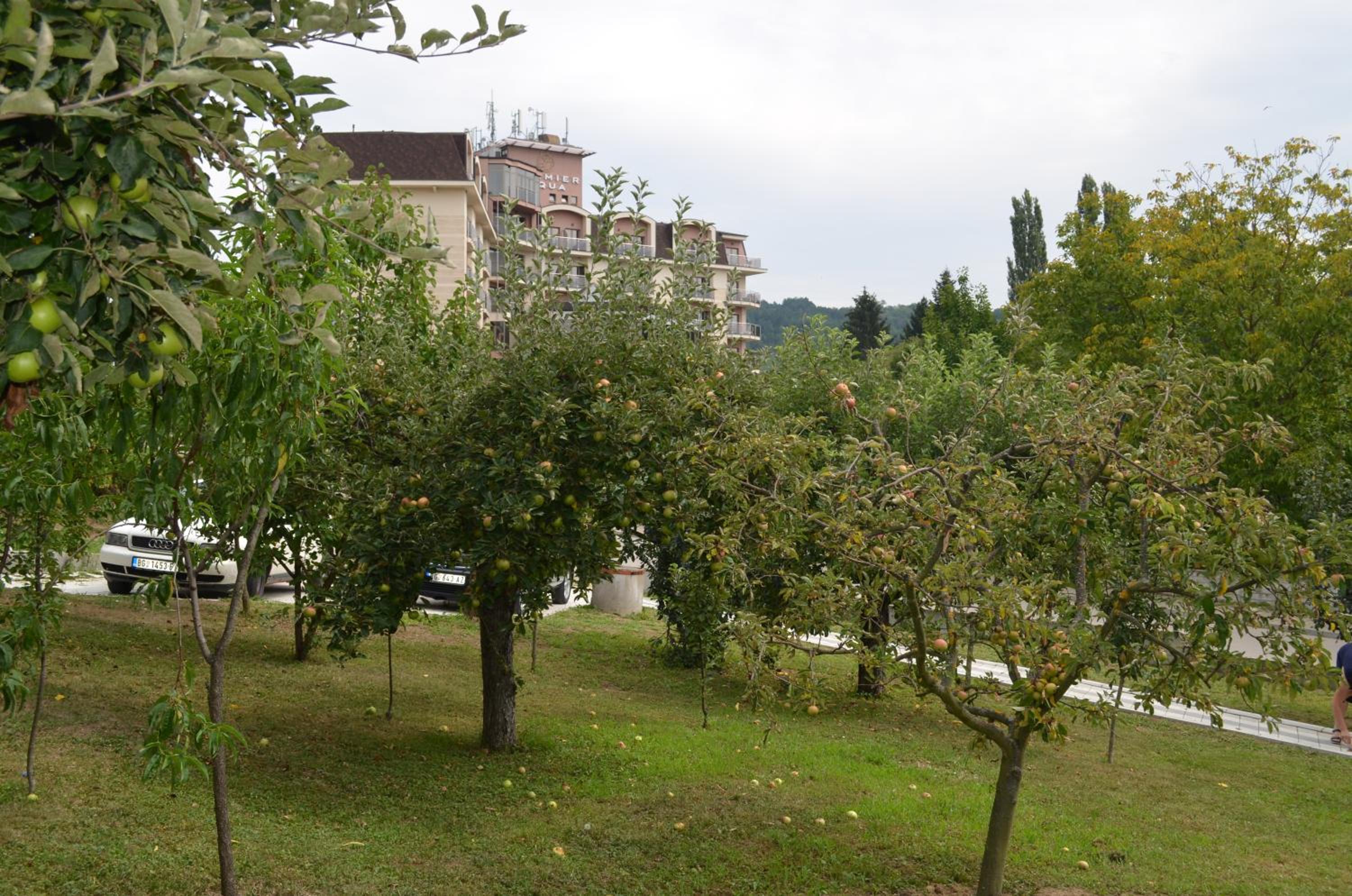 Apartmani Ana view 4
