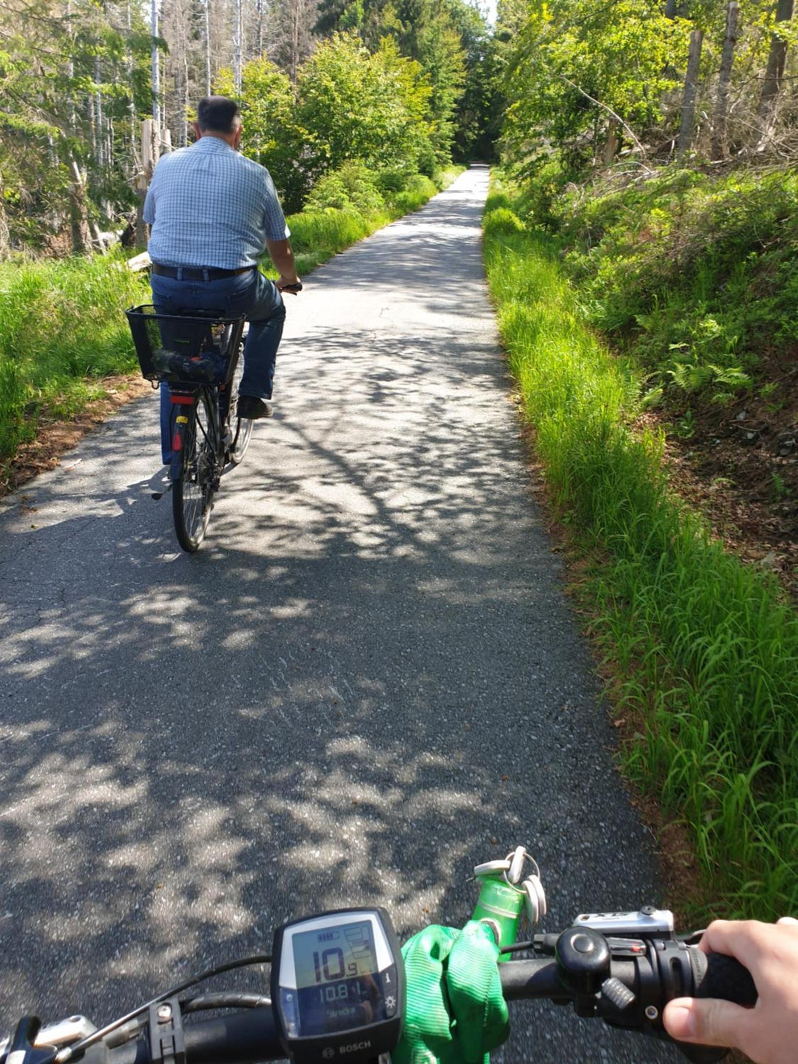 Photo 151