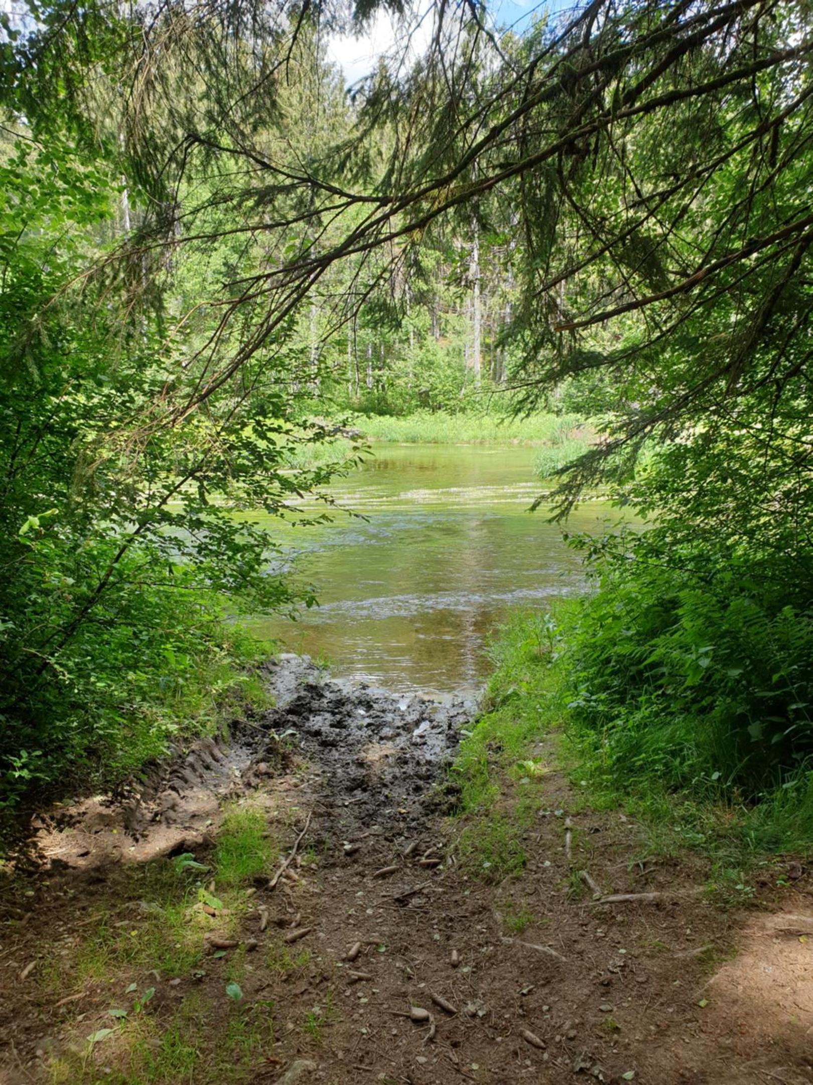 Photo 47