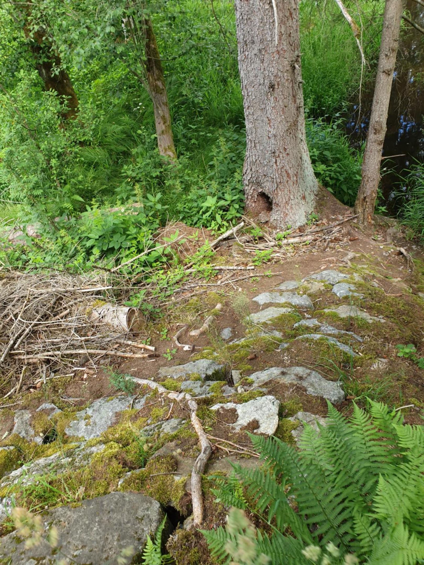 Photo 48