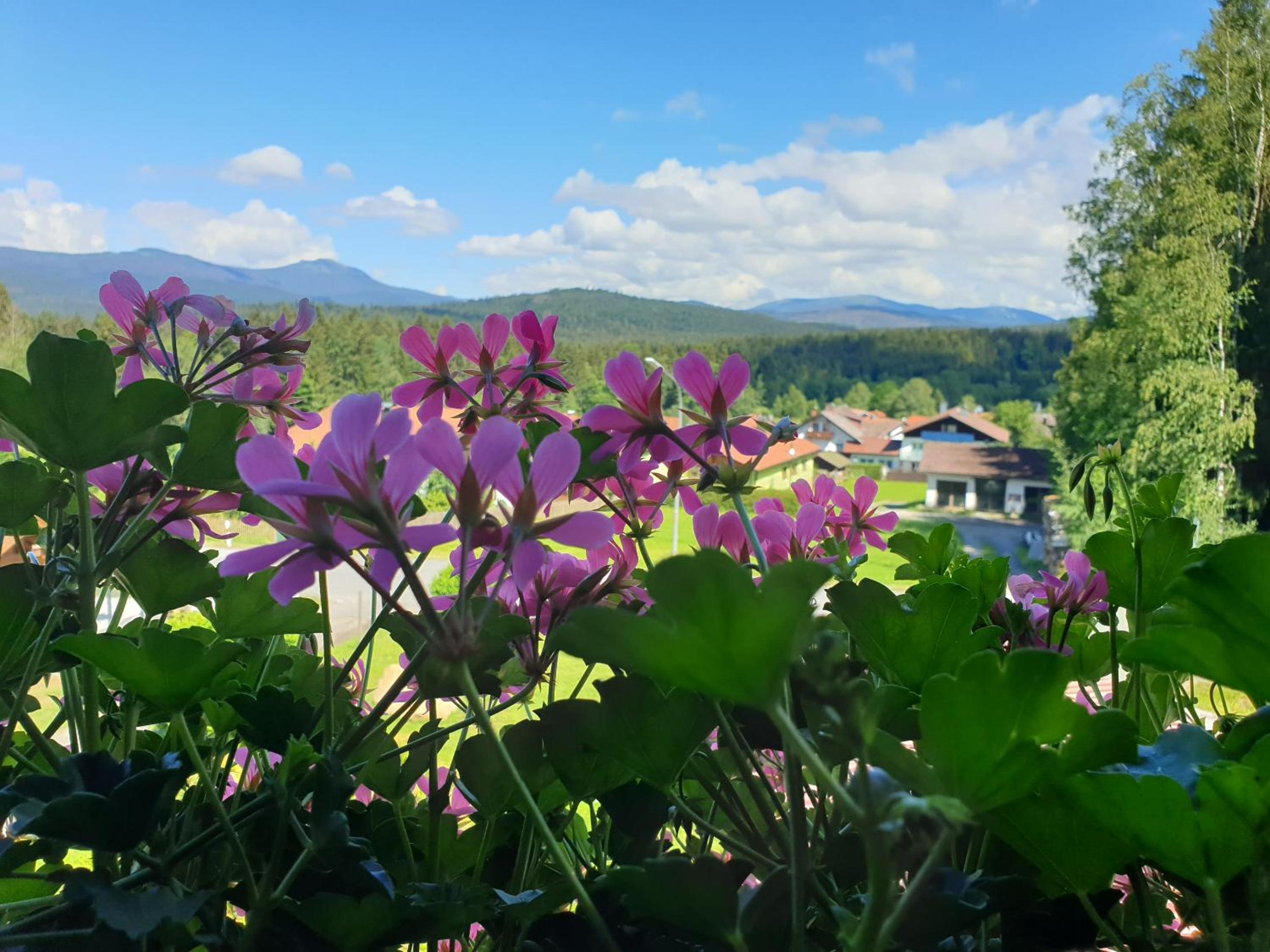 Haus Bergblick view 3