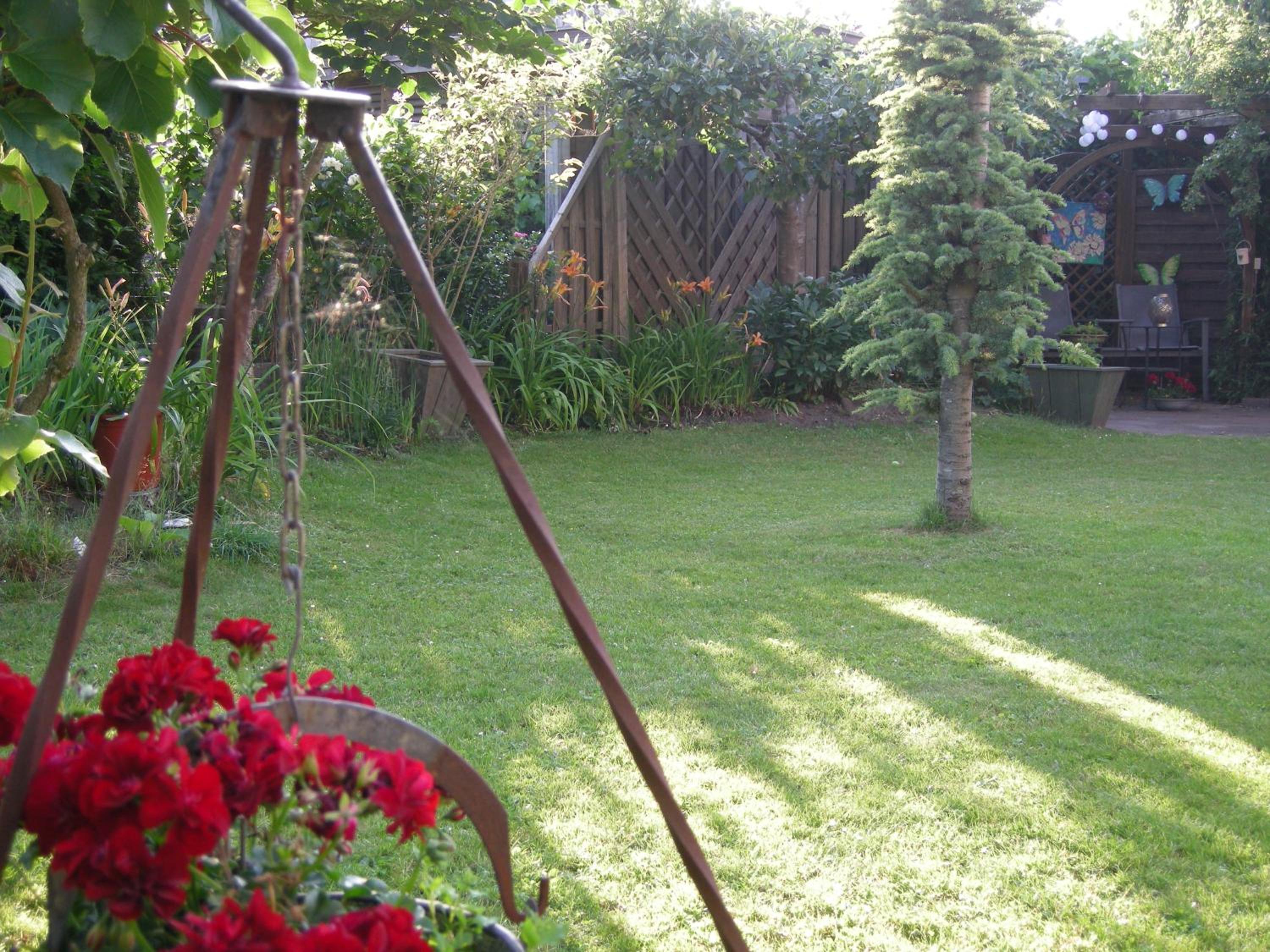Photo 20