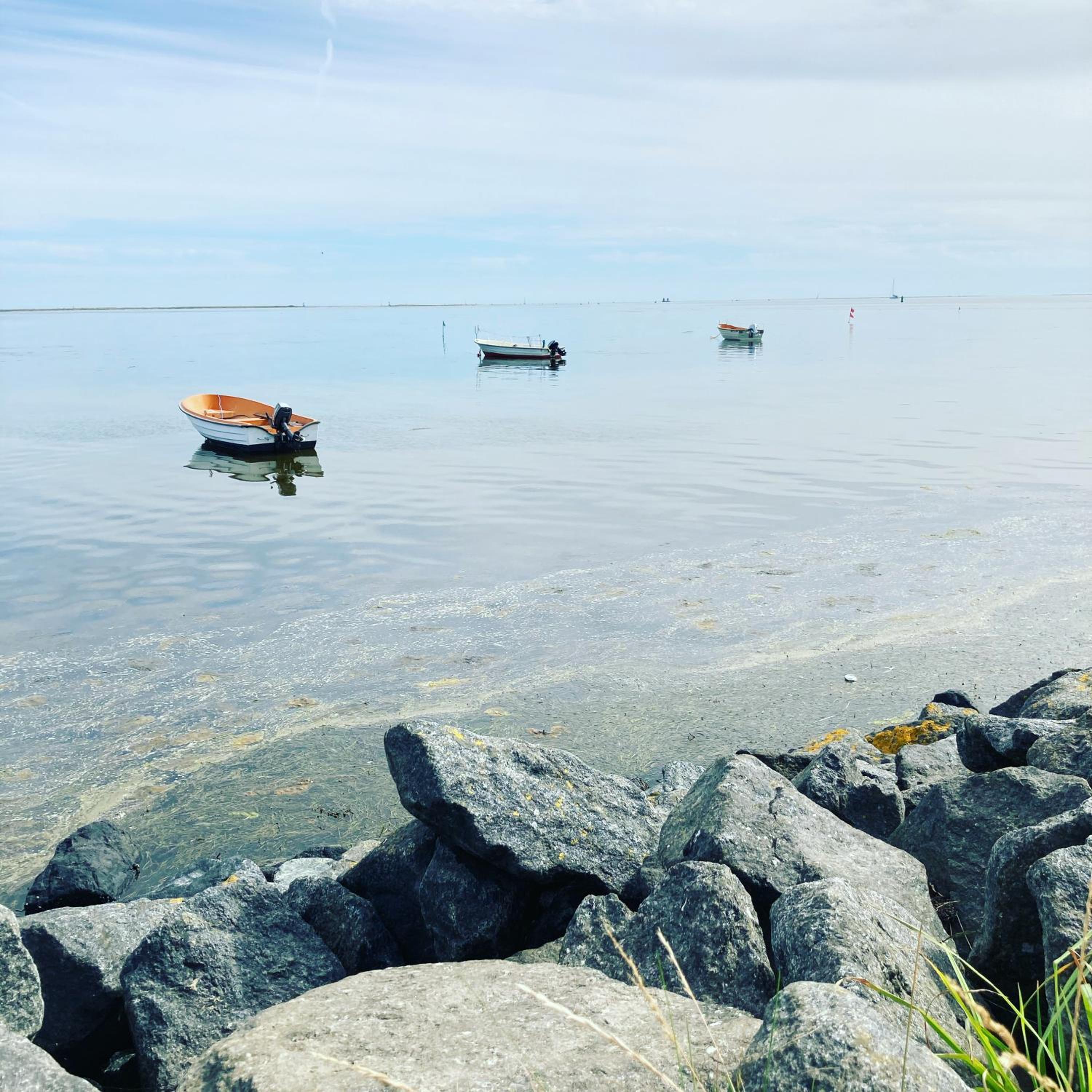 Det blågrønne Hus