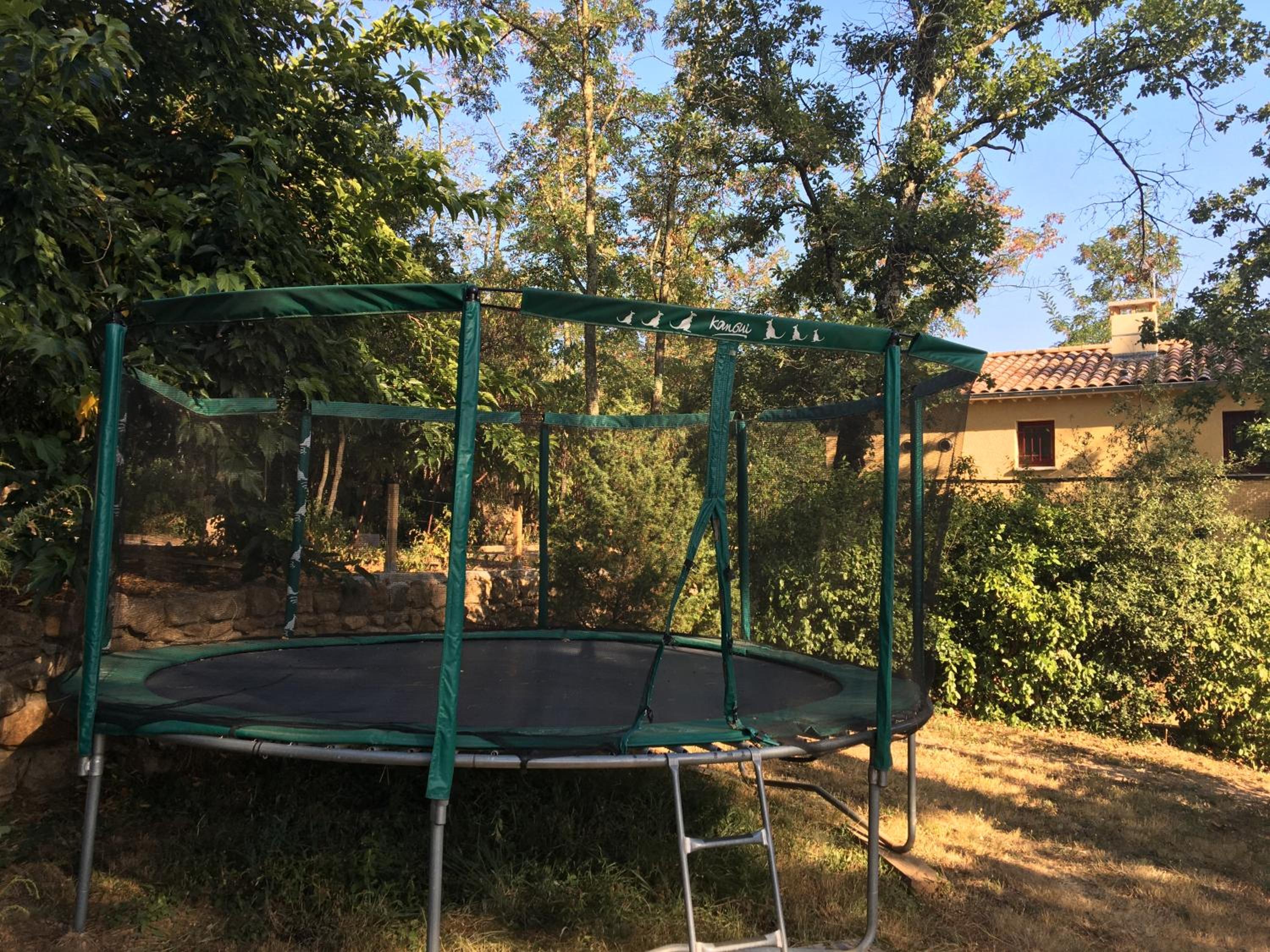 Photo 17