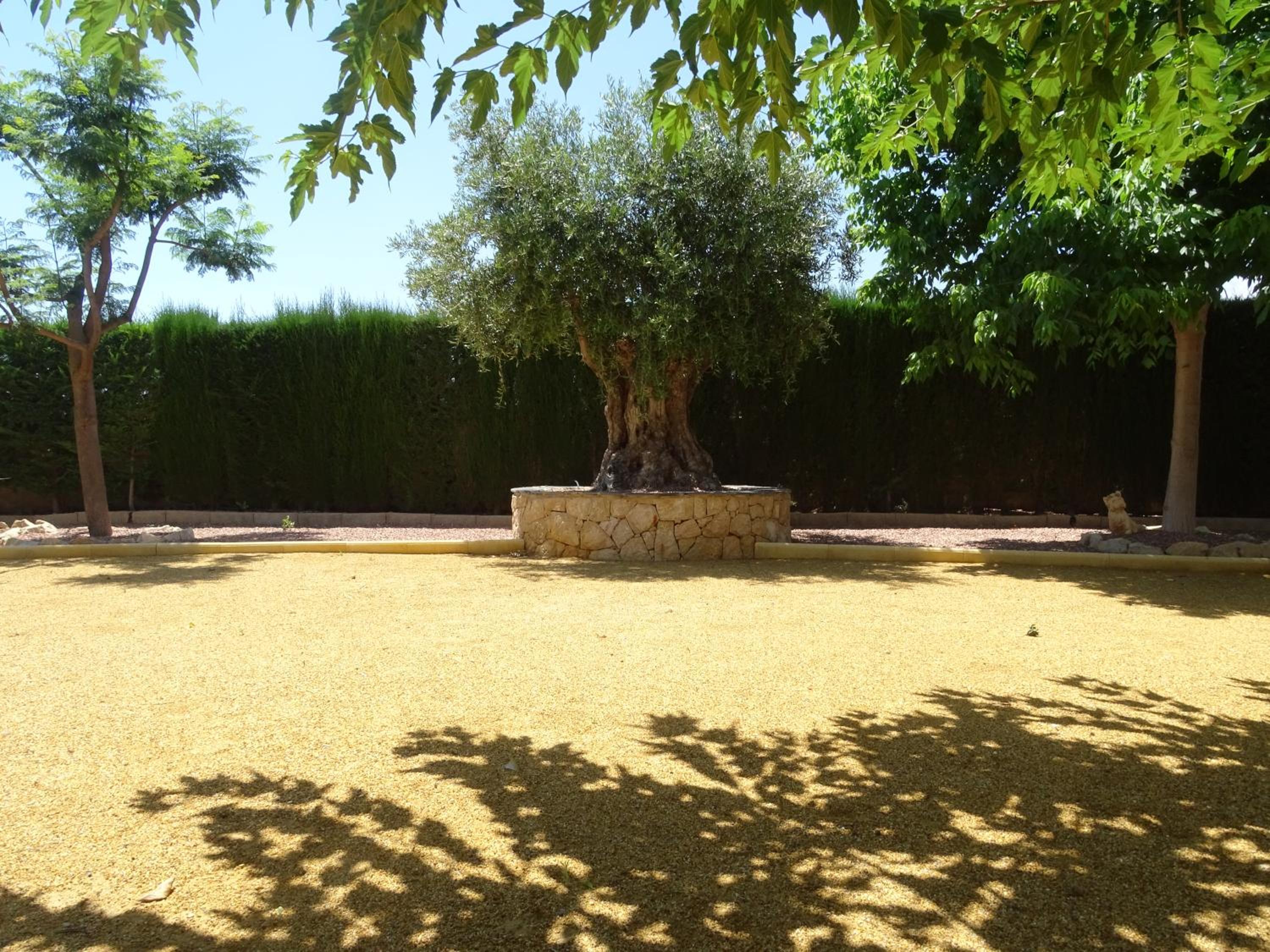 Photo 11