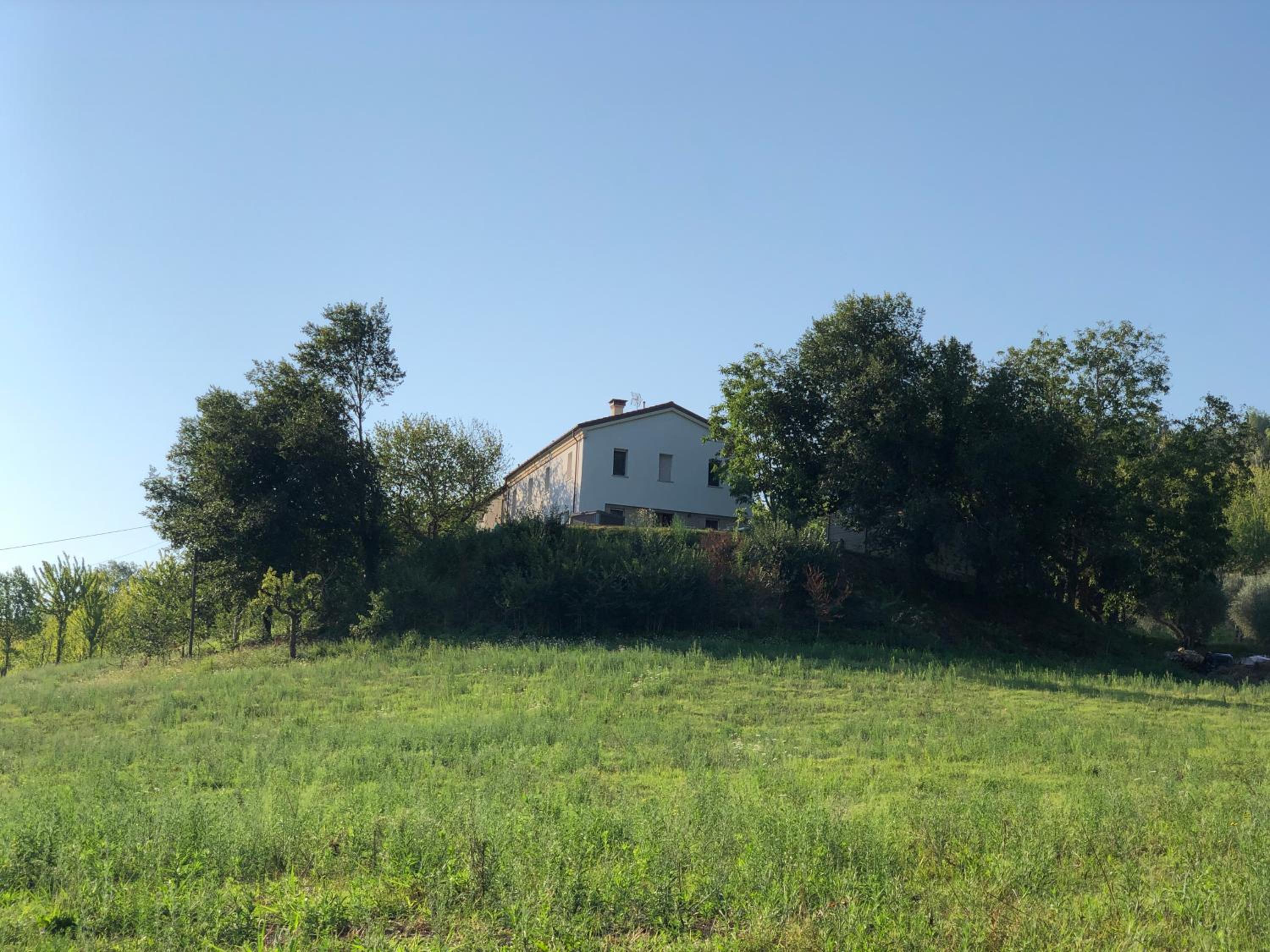 Photo 37