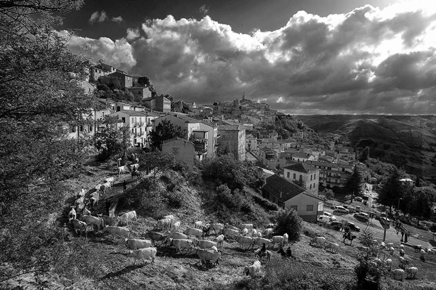 Le case all'arco view 5