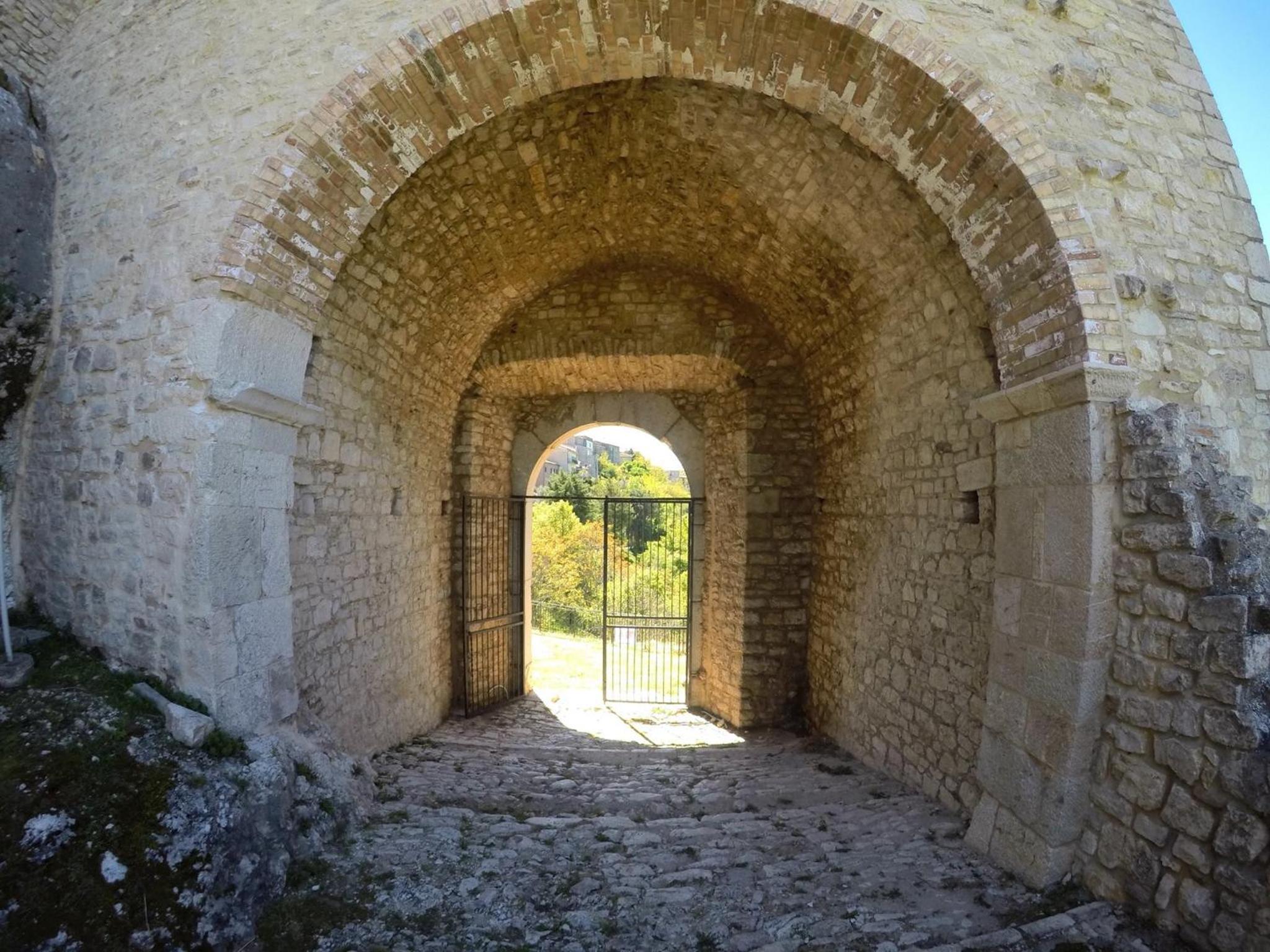 Photo 21
