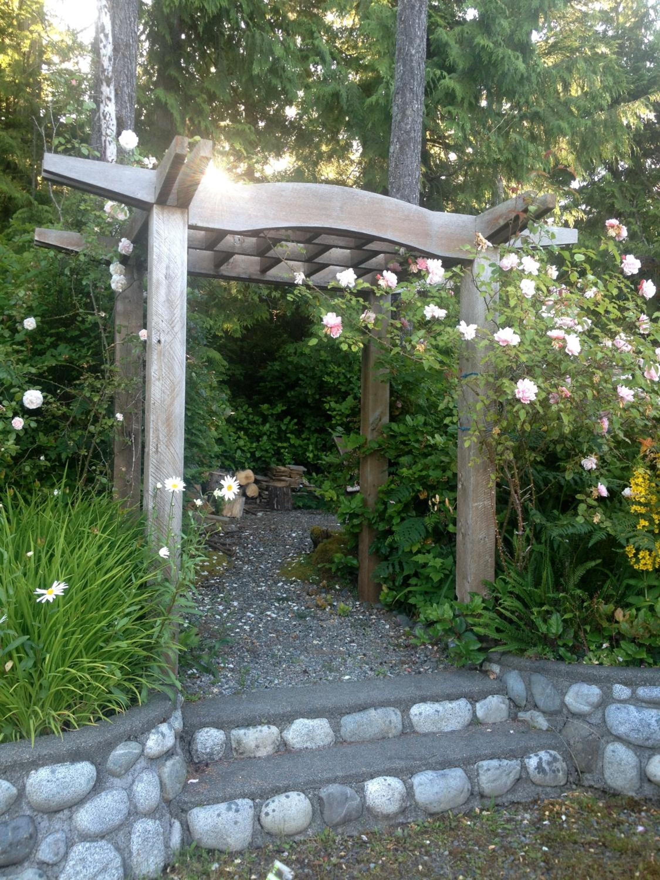 Tofino Vacations - Cobble Wood and Bird Sanctuary Guest Houses - Property Image 46