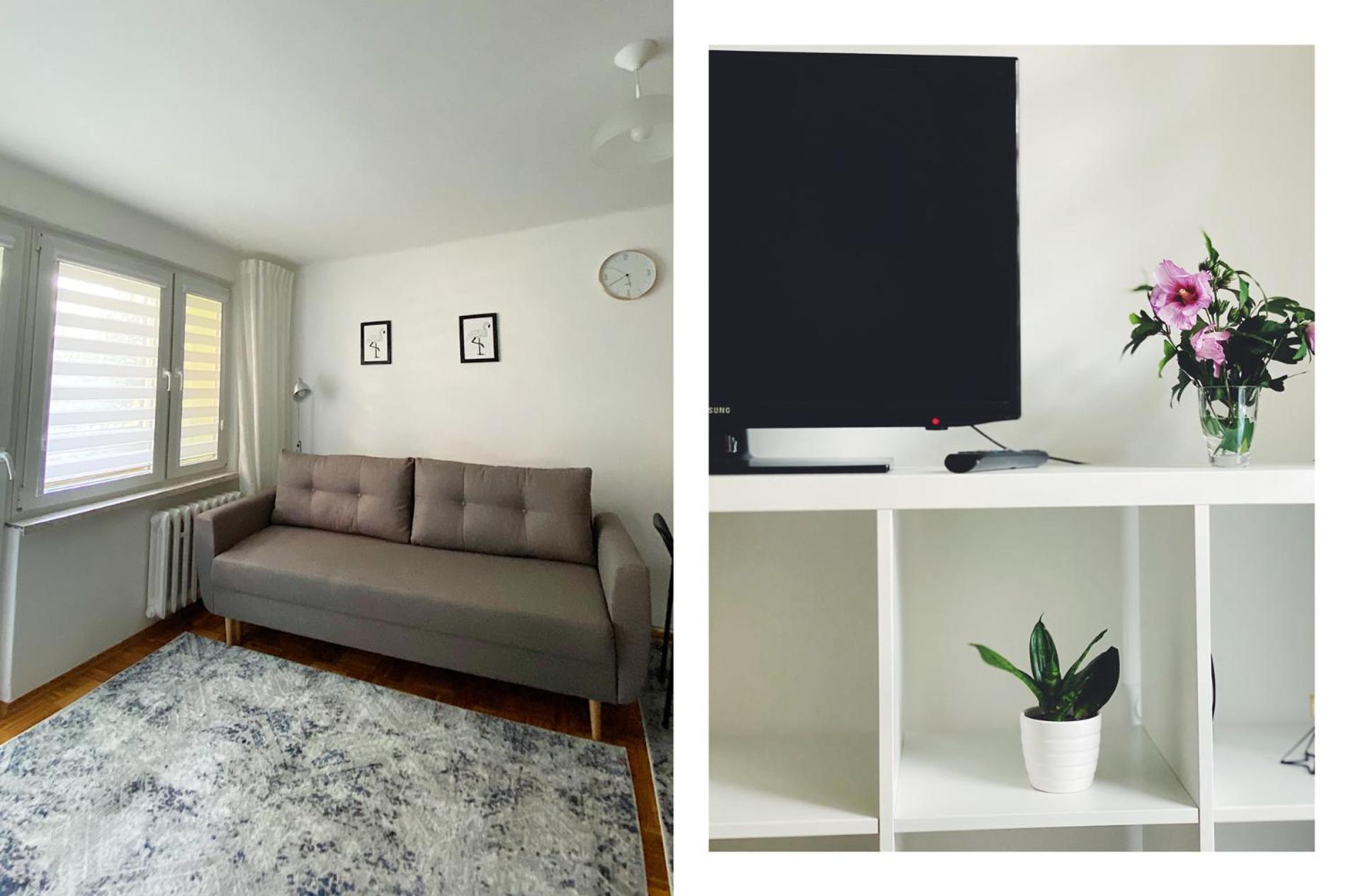 Apartament 23