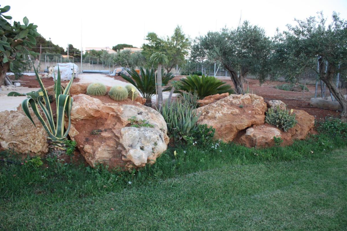 Photo 40
