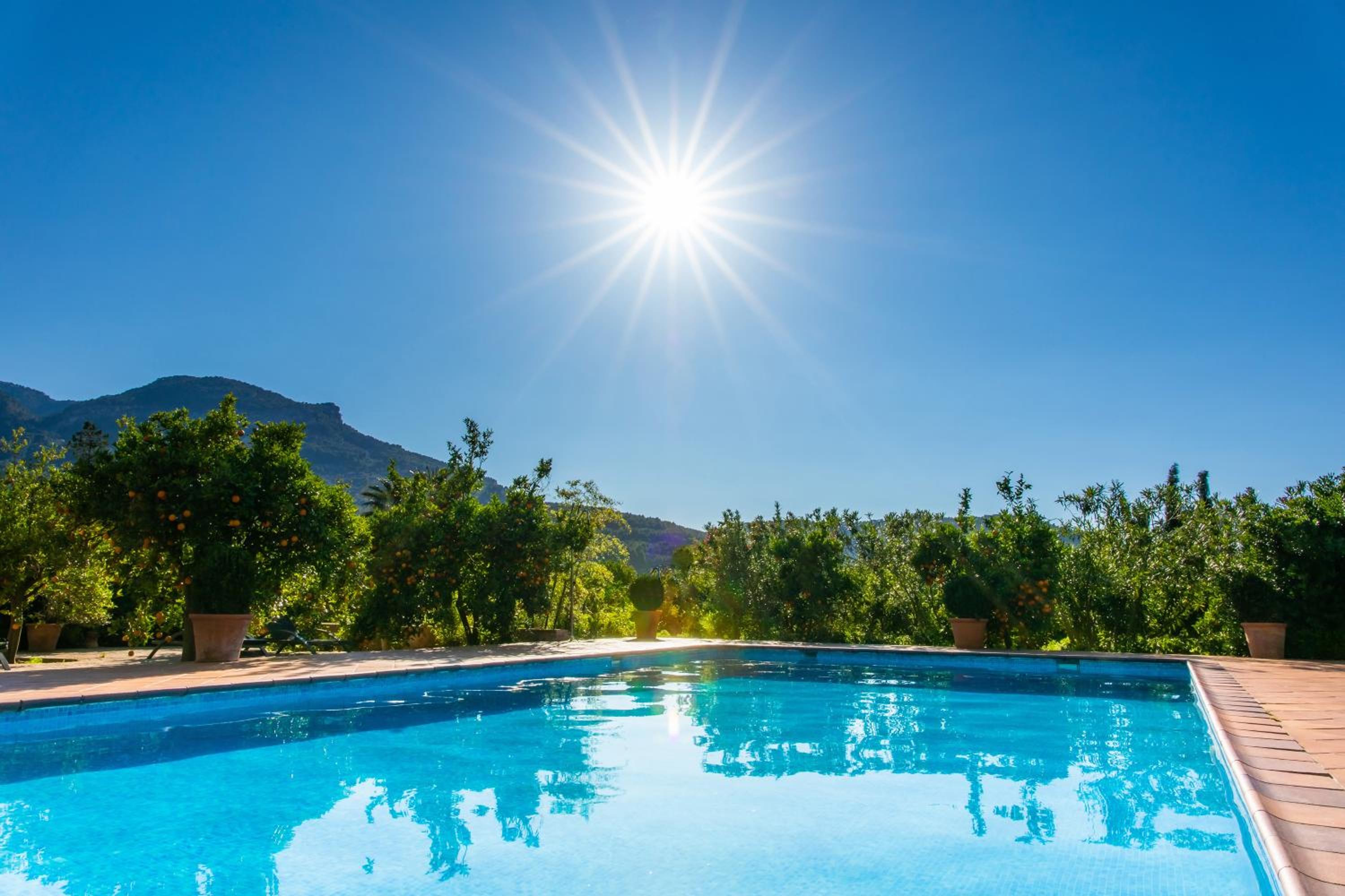 Finca Ca's Curial - Agroturismo - Adults Only view 3