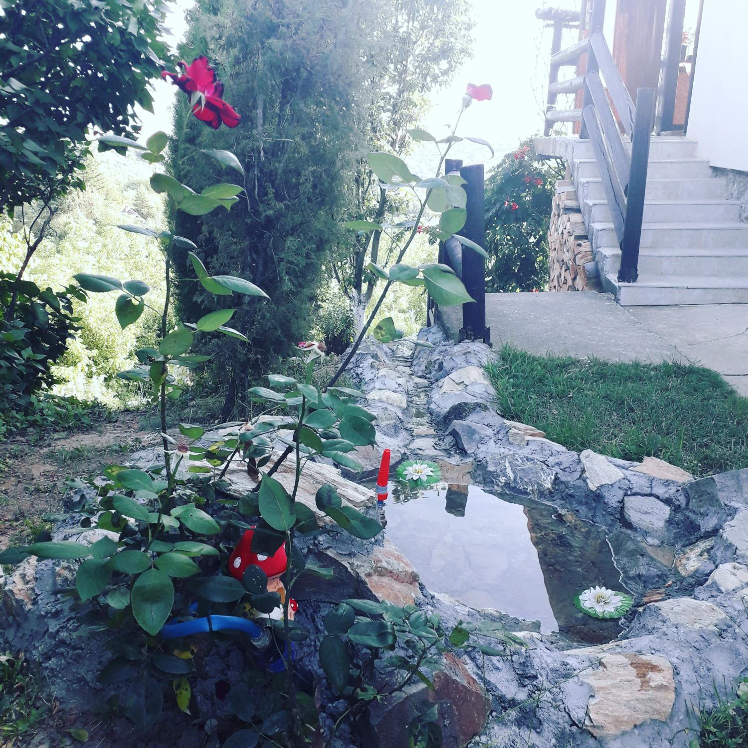 Photo 10