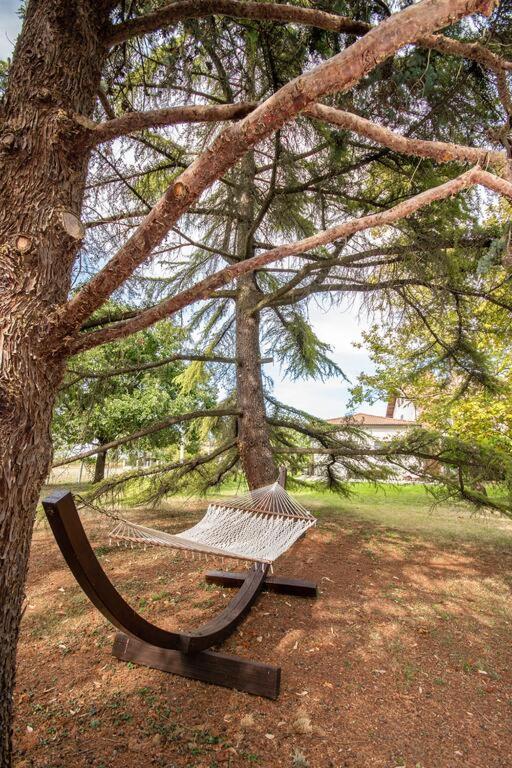 Home Holiday La Selva