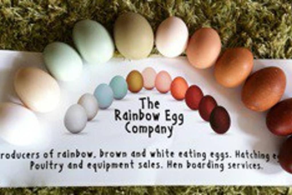 Stones Cottage Farm, nr Haworth, family friendly for infants teens ASD, gaming barn inc retro gaming, hot tub, animals, arts, crafts, free wifi, free parki view 4