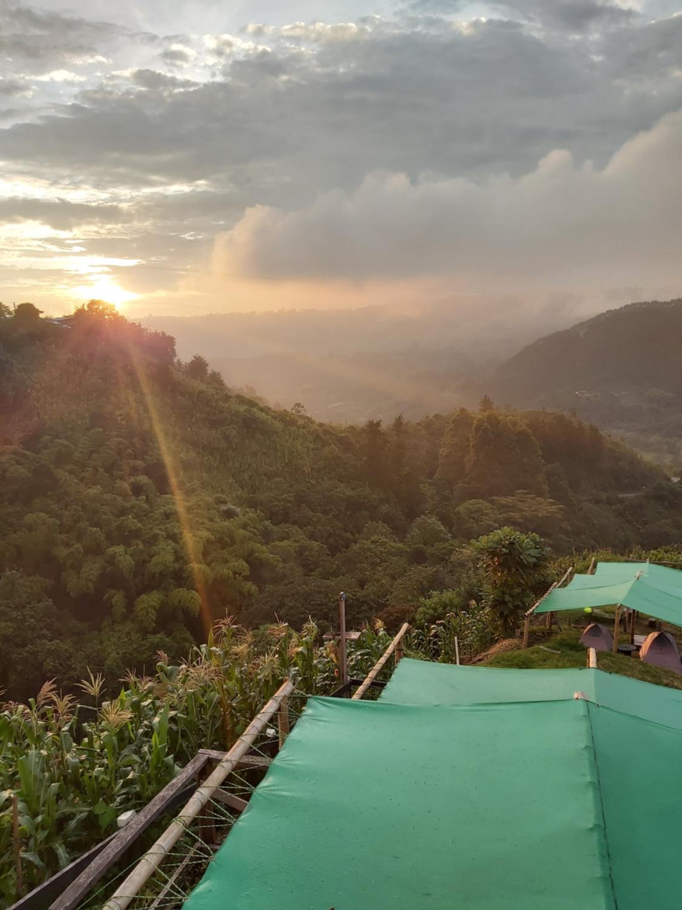 Hostal y Camping Los Girasoles
