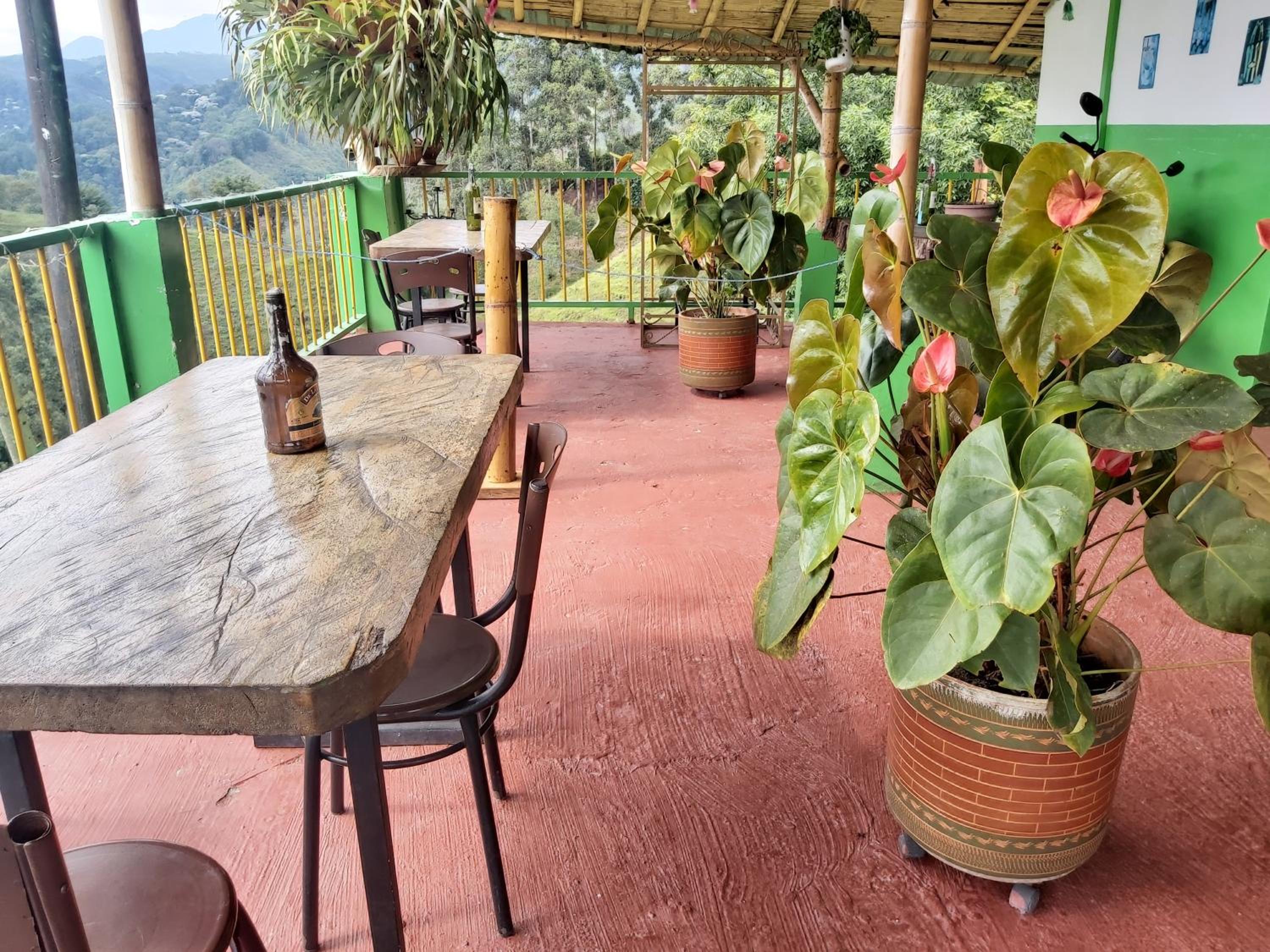 Hostal y Camping Los Girasoles