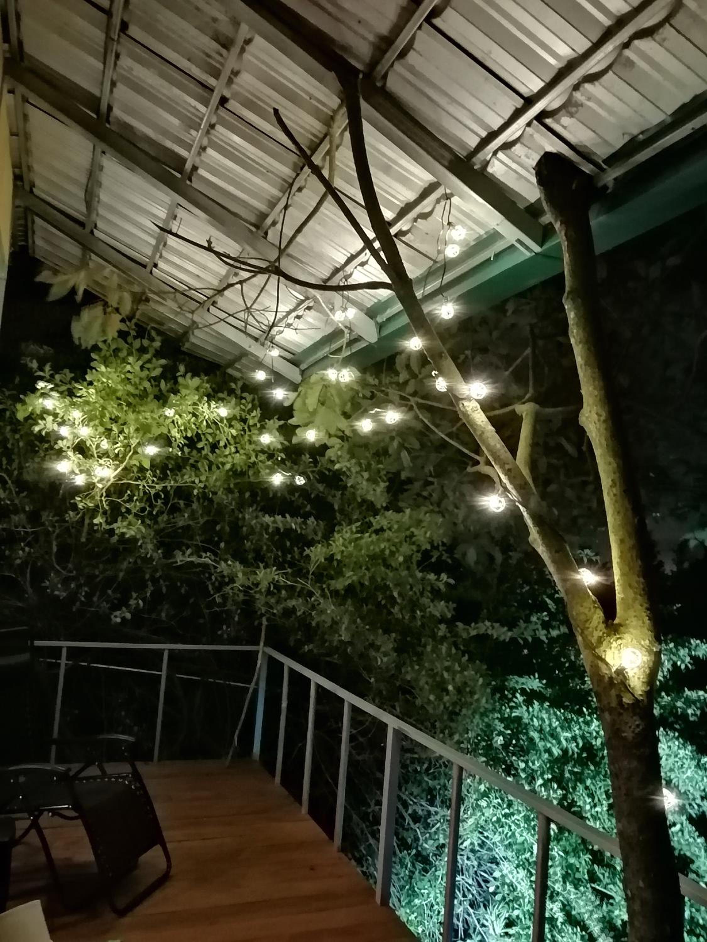 Cabaña treehouse Mountain View