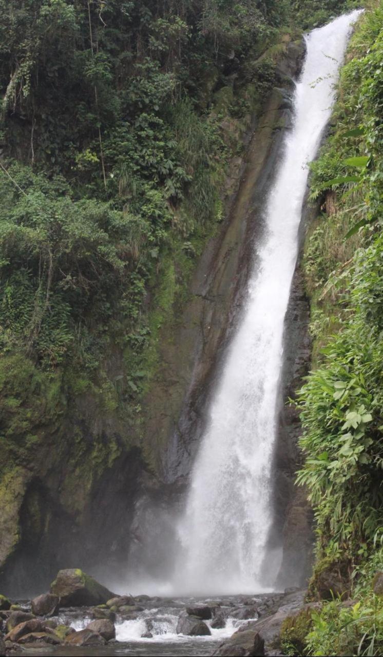 Quinta los volcanes