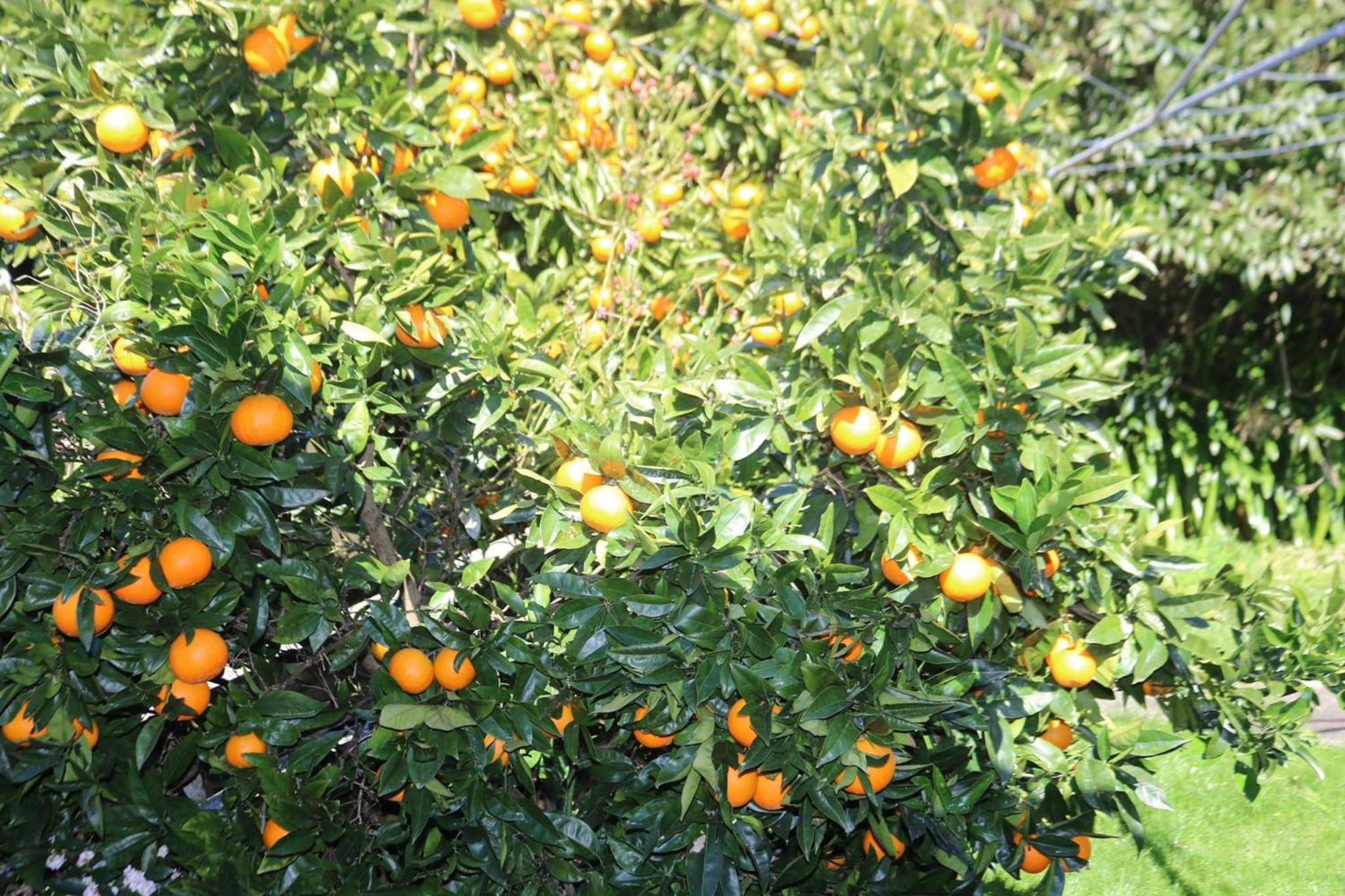 Photo 25