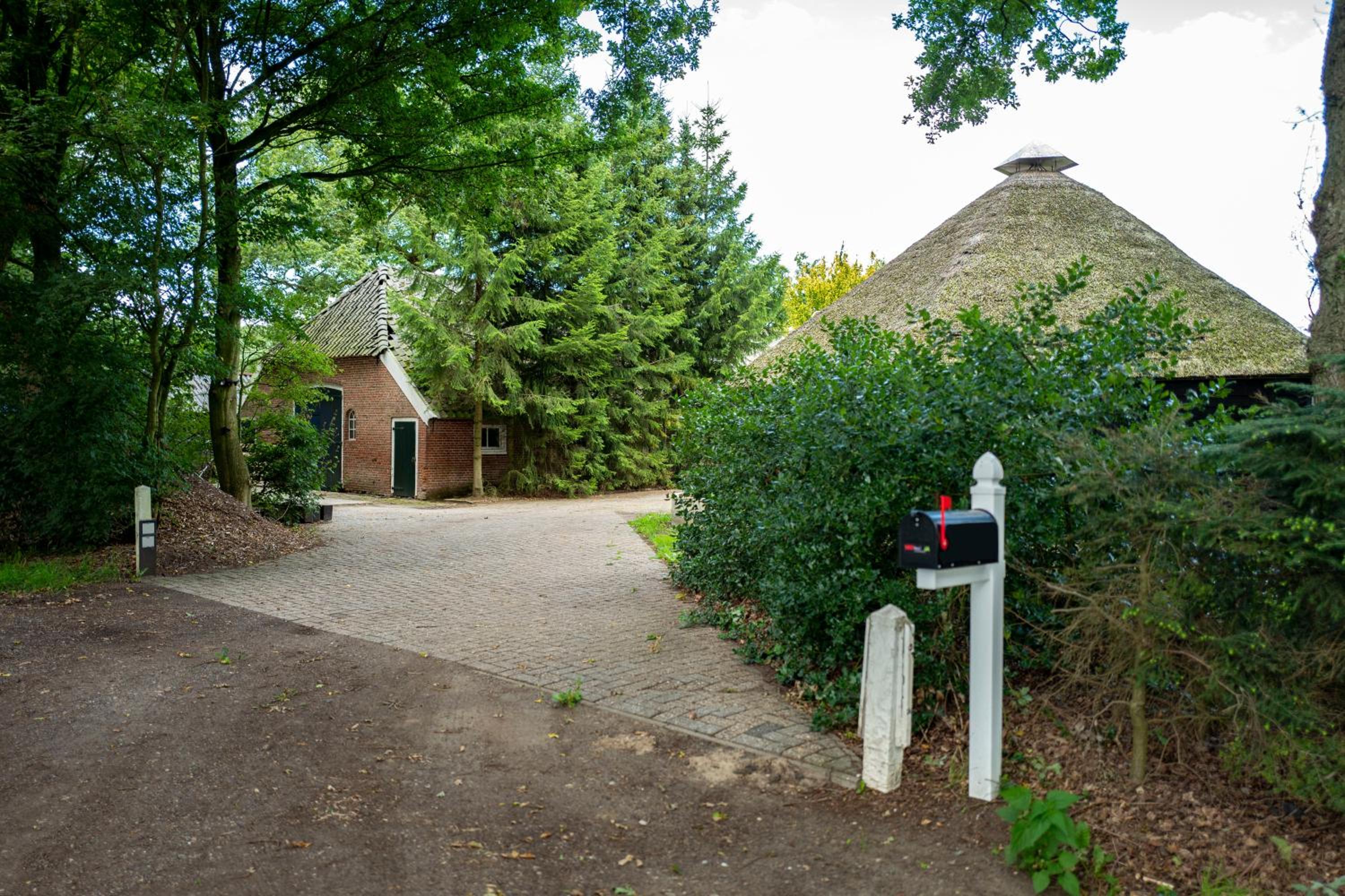 Photo 25