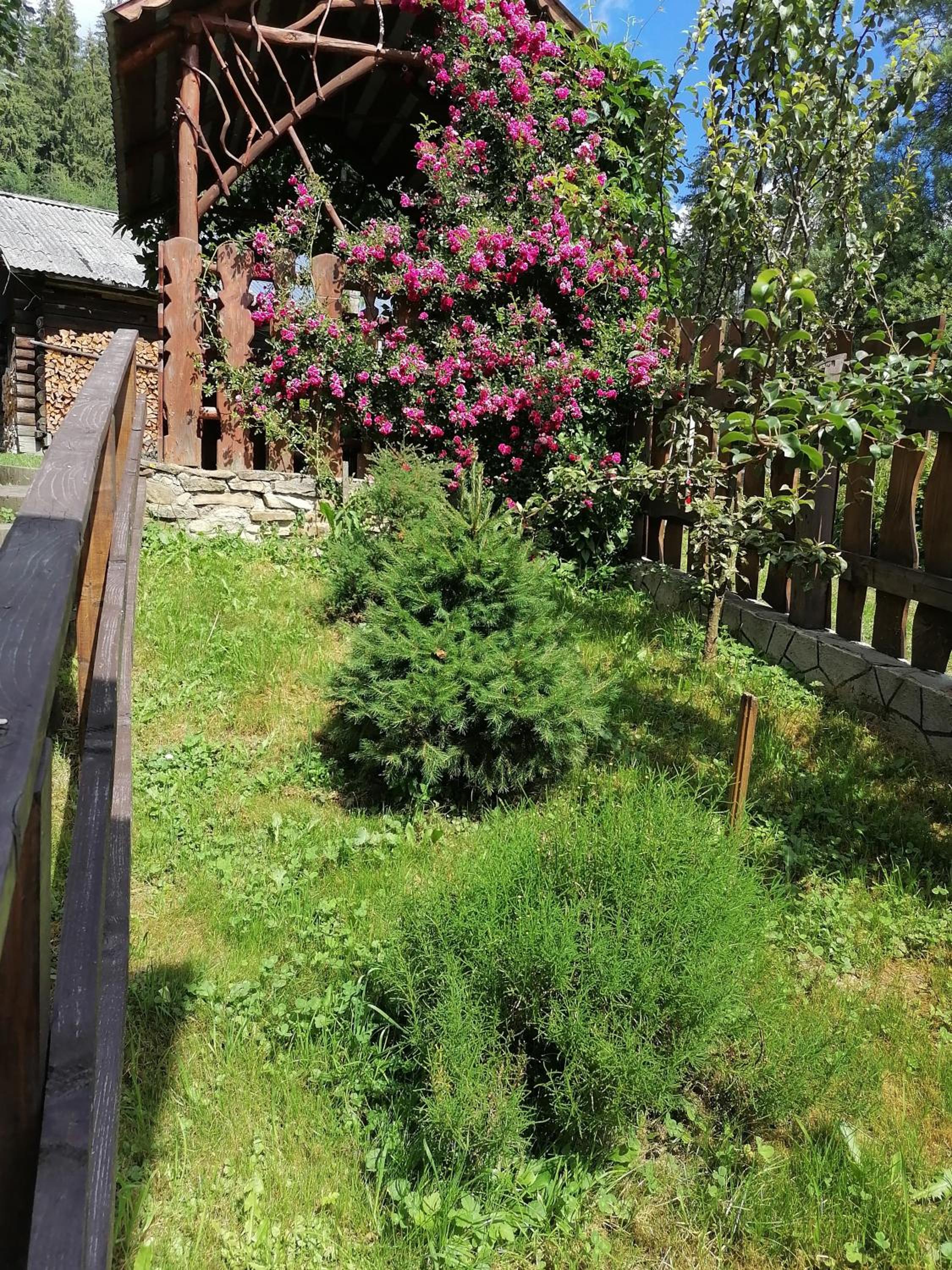 Photo 43