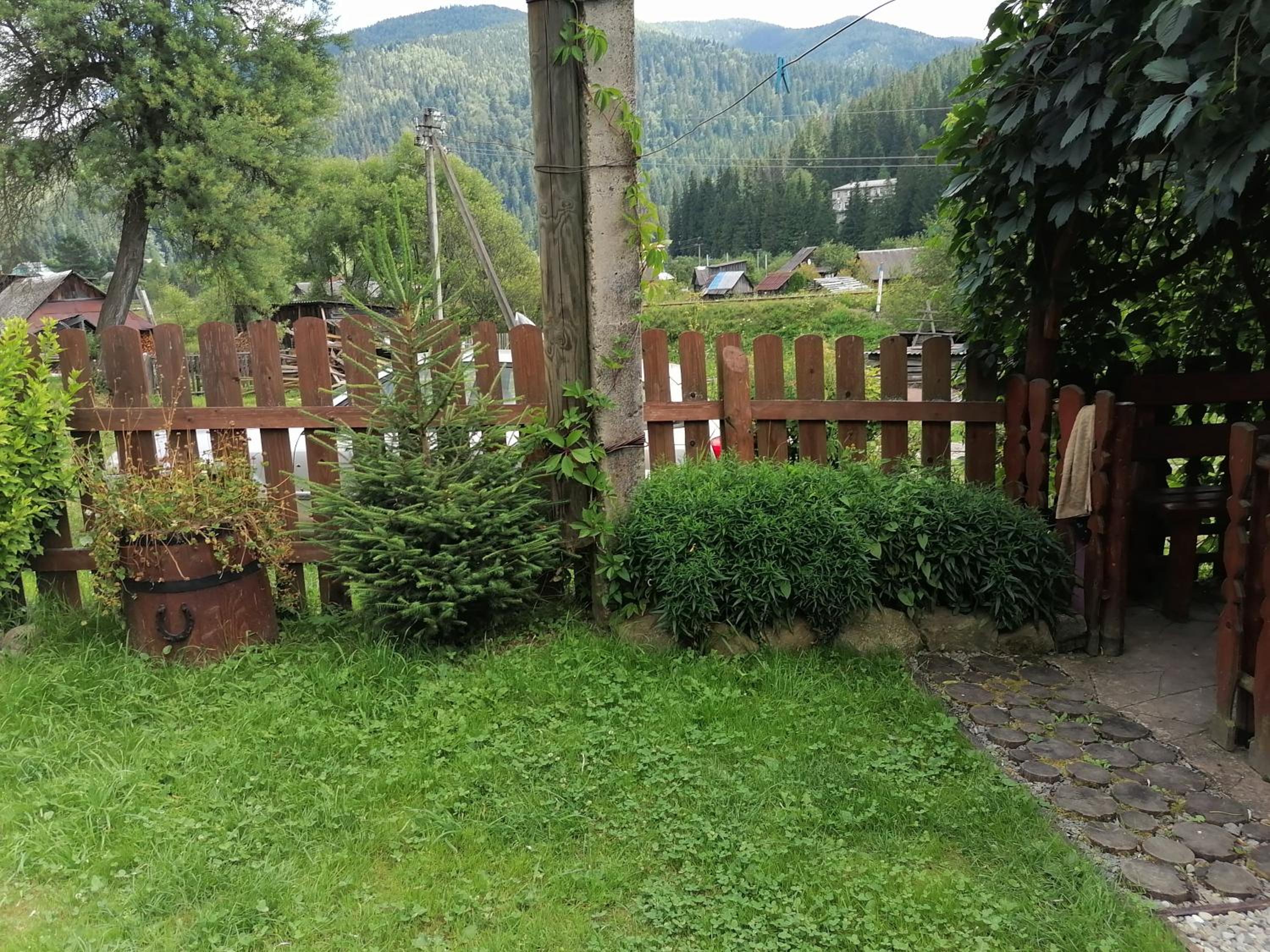 Photo 42