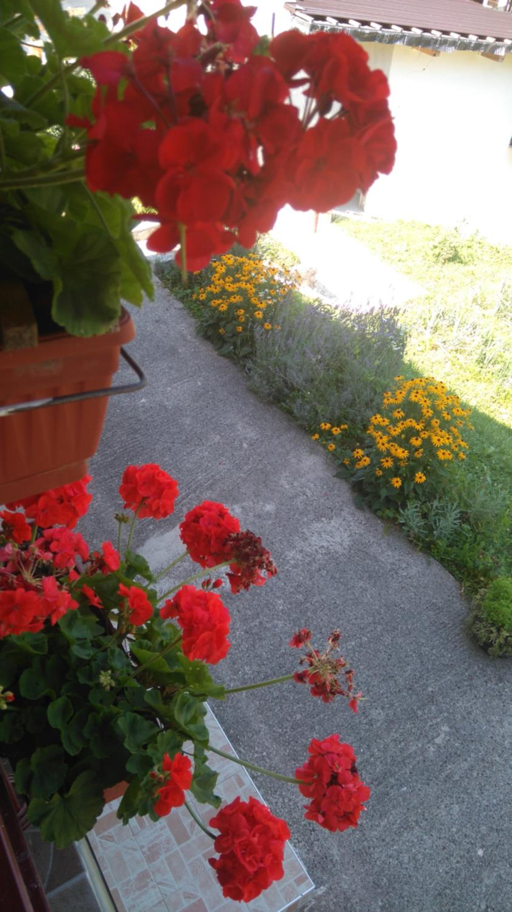 Kuća za odmor Panorama Lohovo Bihać