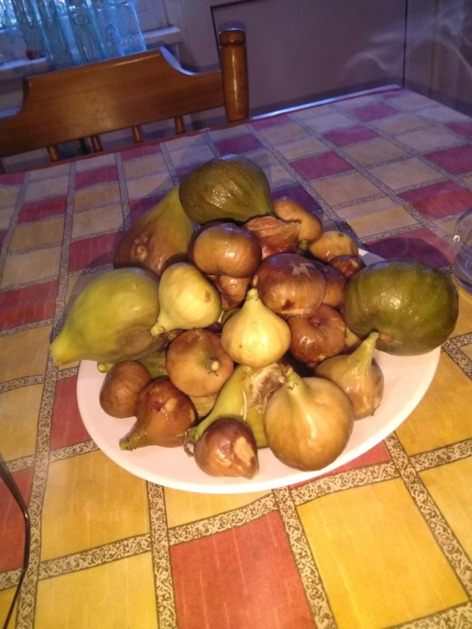 Kuća za odmor Panorama Lohovo Bihać