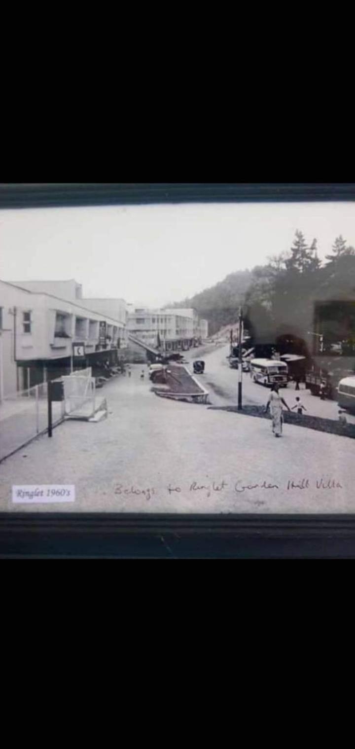 Muslim homstay@Crown Imperial Court photo 7