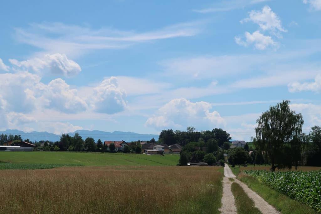 Grüner Baum ferienwohnung