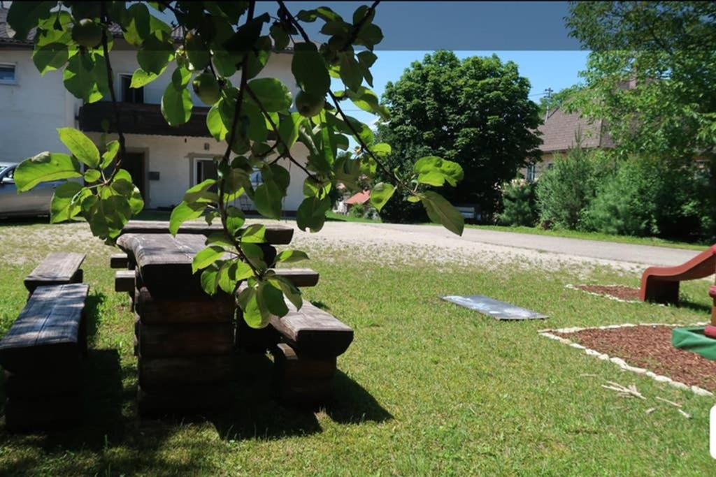 Grüner Baum ferienwohnung