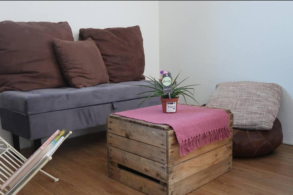 Grüner Baum ferienwohnung