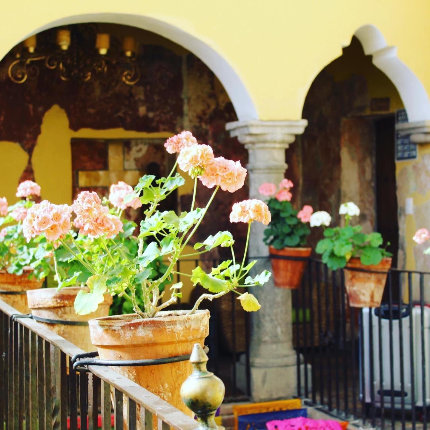 Hotel Boutique Posada XVII - Property Image 6