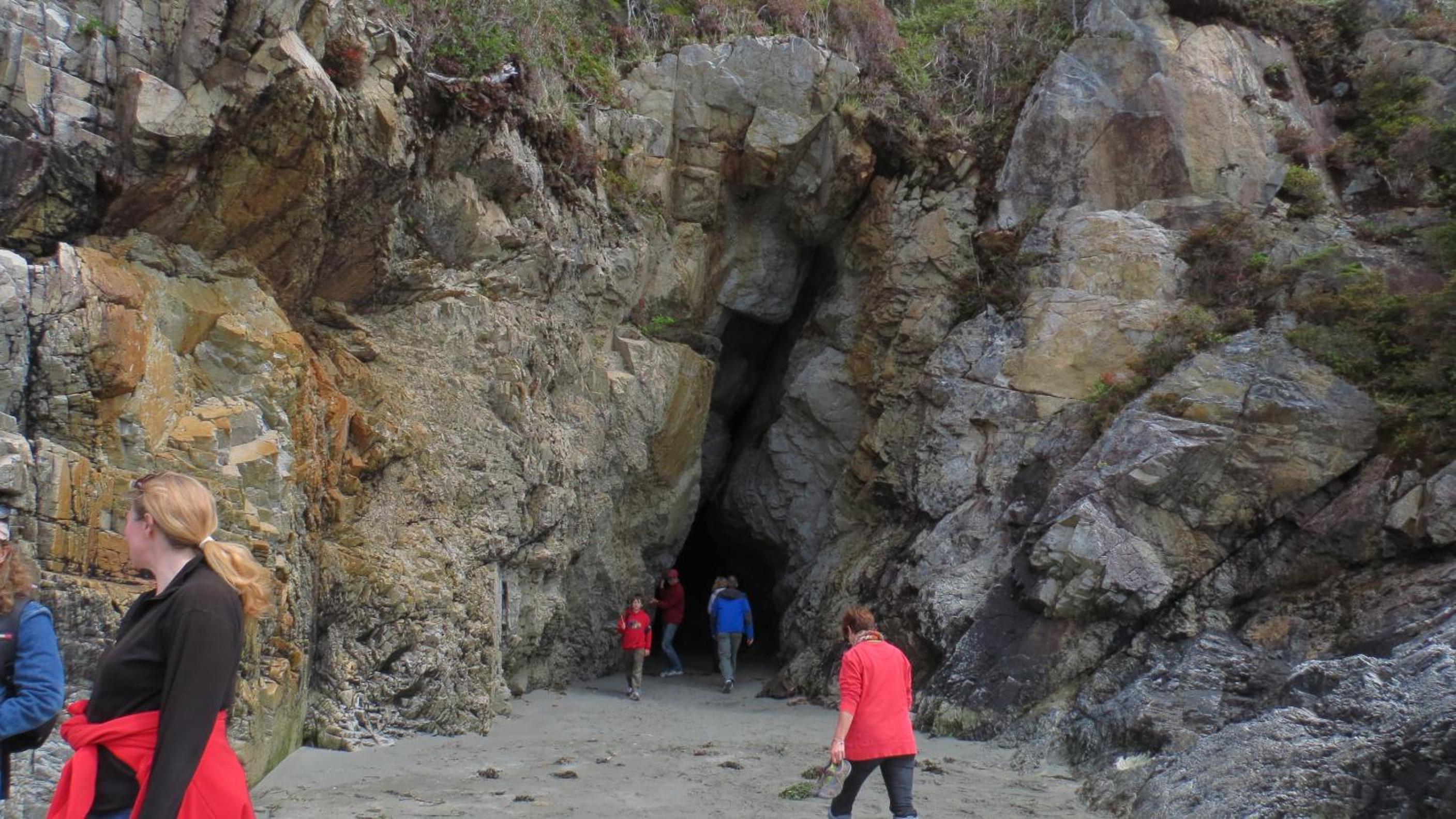 Tofino Vacations - Cobble Wood and Bird Sanctuary Guest Houses - Property Image 56