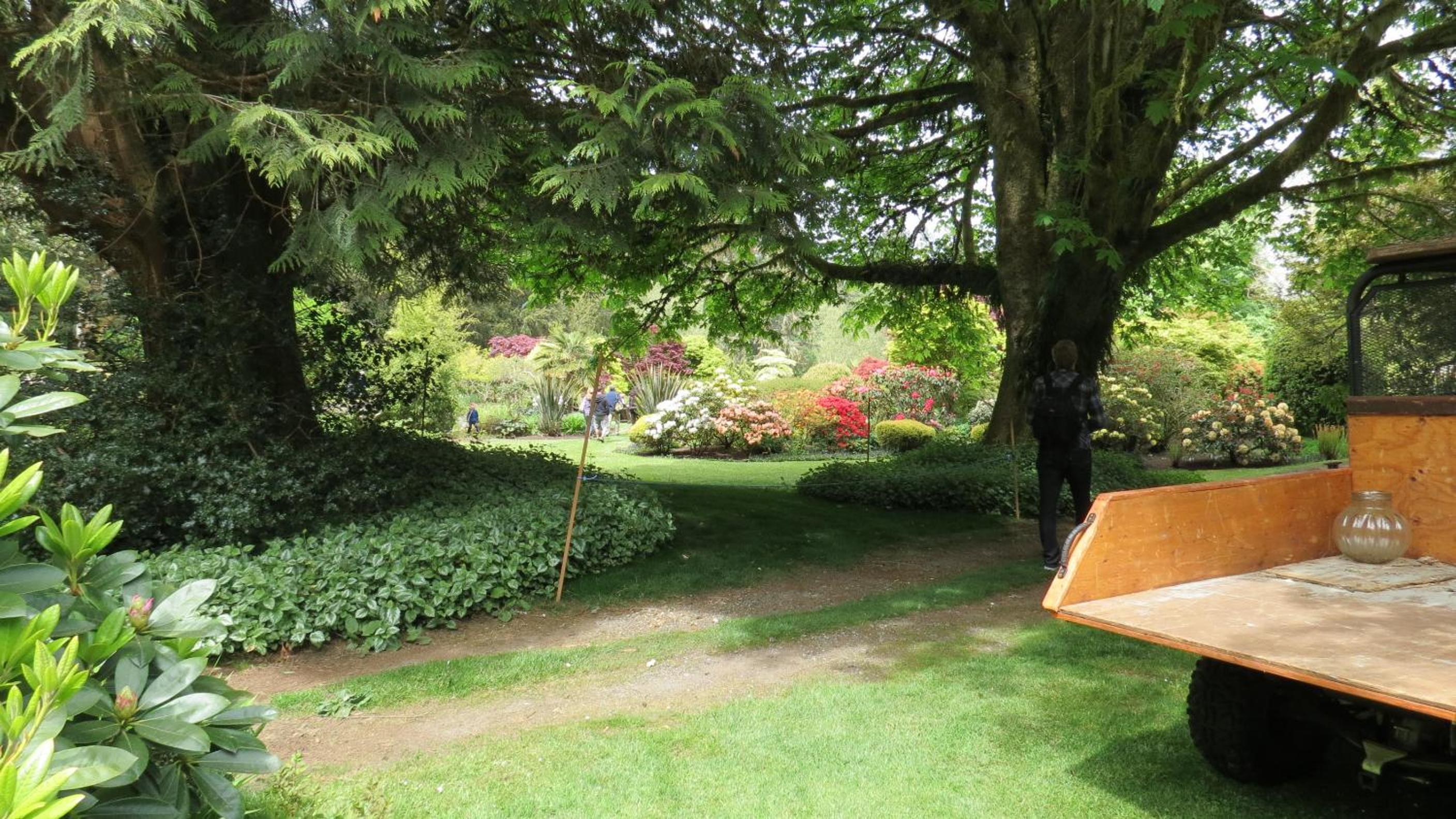 Tofino Vacations - Cobble Wood and Bird Sanctuary Guest Houses - Property Image 65