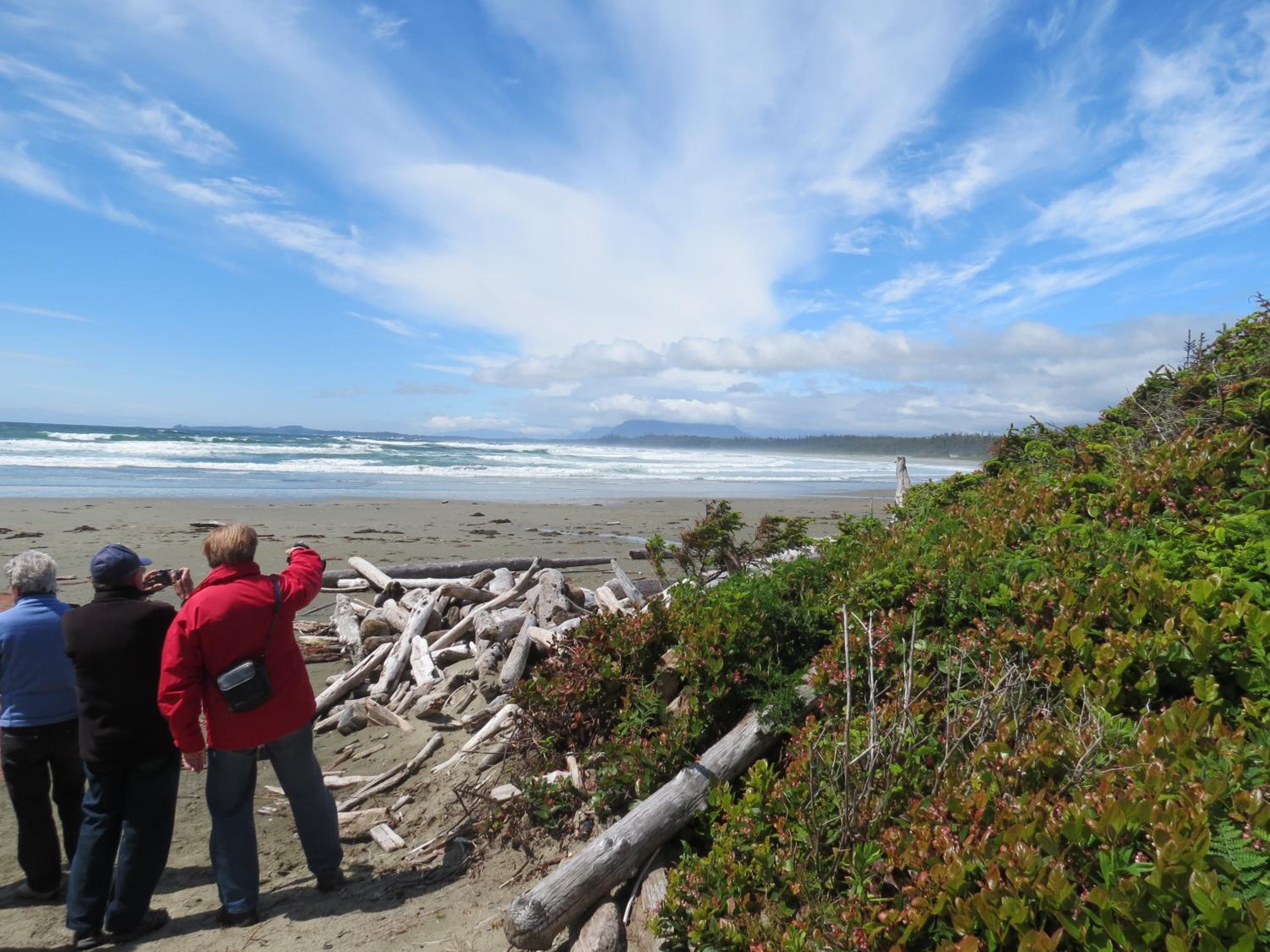 Tofino Vacations - Cobble Wood and Bird Sanctuary Guest Houses - Property Image 57