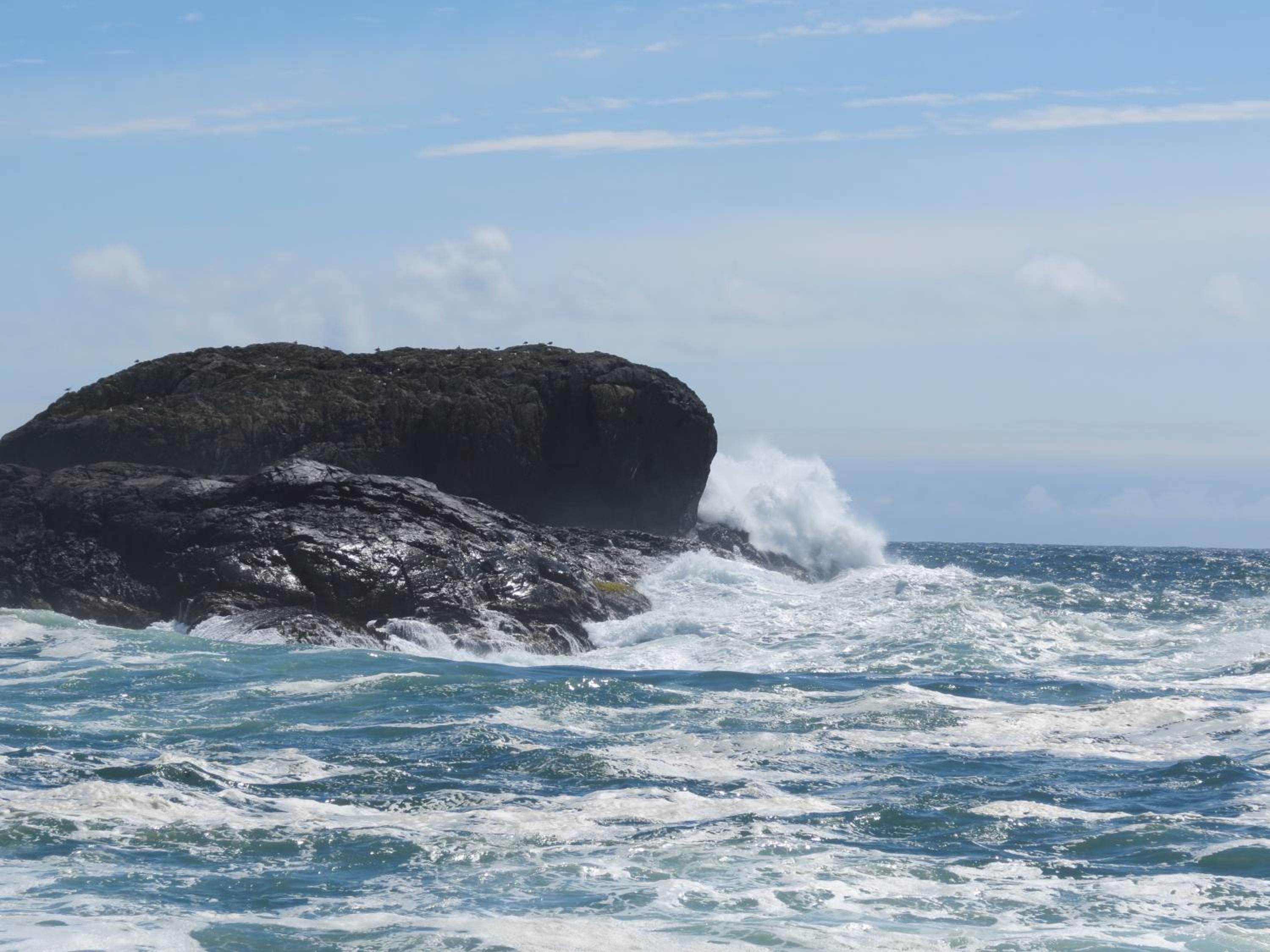 Tofino Vacations - Cobble Wood and Bird Sanctuary Guest Houses - Property Image 58