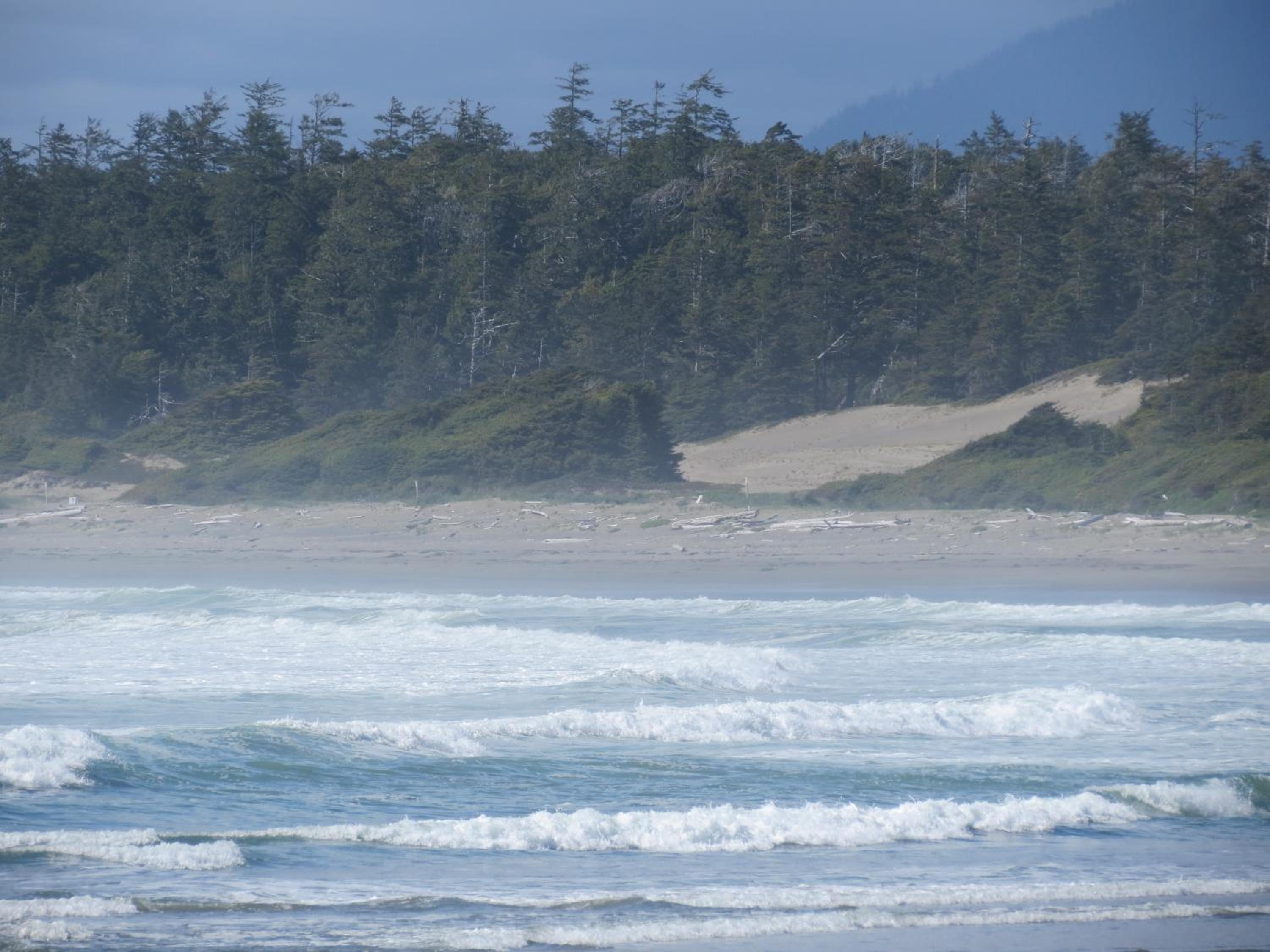Tofino Vacations - Cobble Wood and Bird Sanctuary Guest Houses - Property Image 60