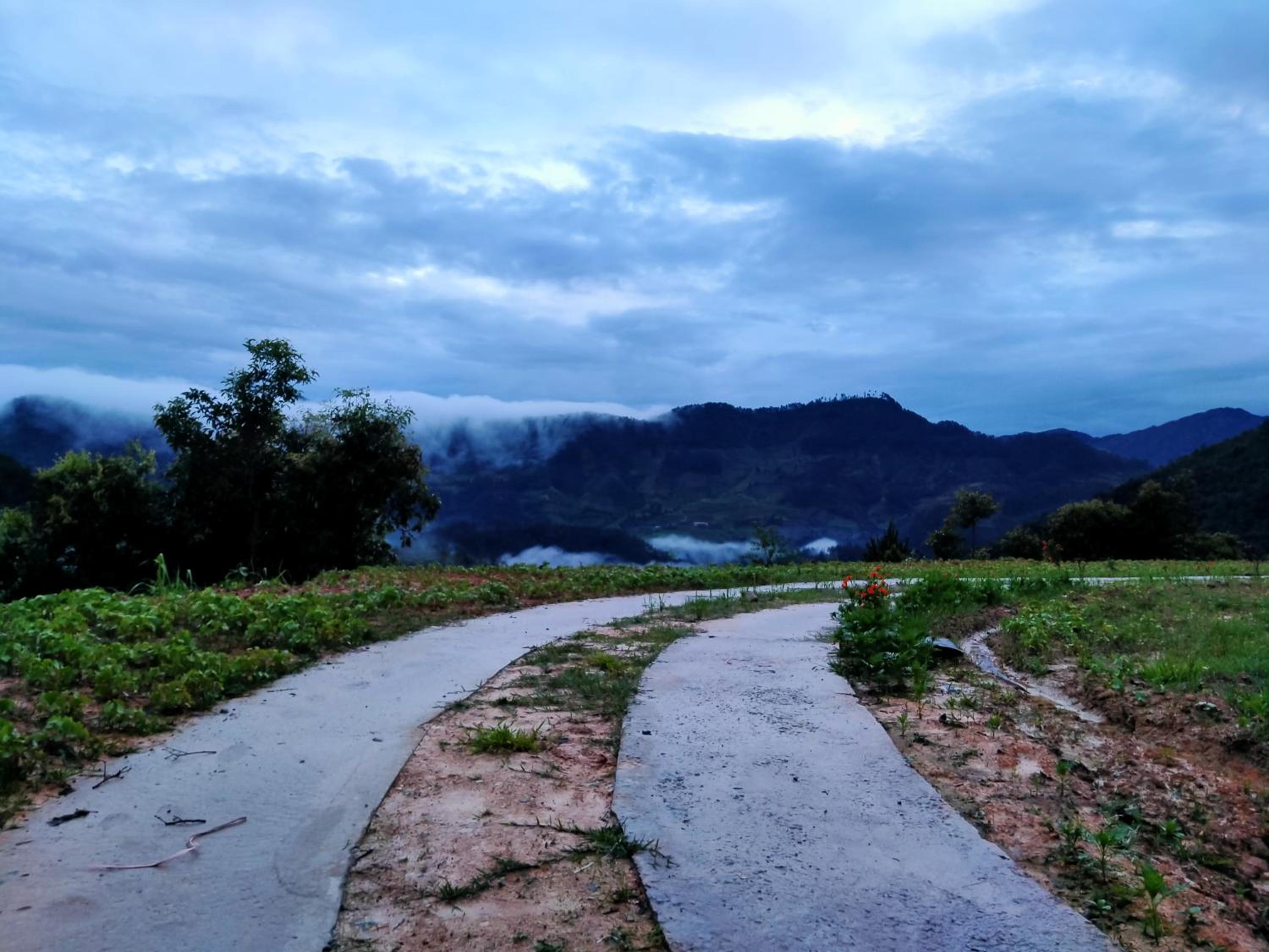 Mù Cang Chải Dream House view 5
