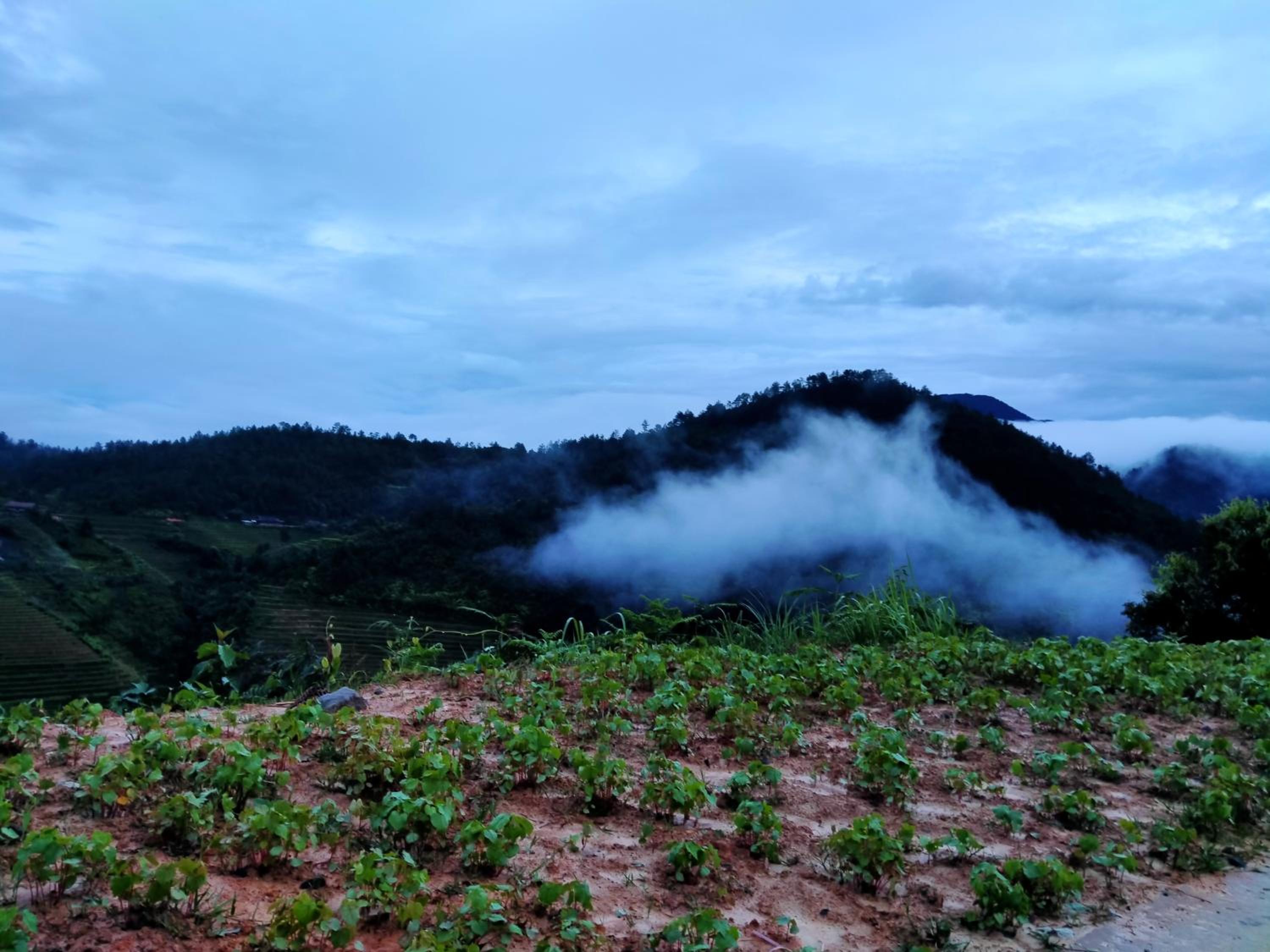 Mù Cang Chải Dream House view 2