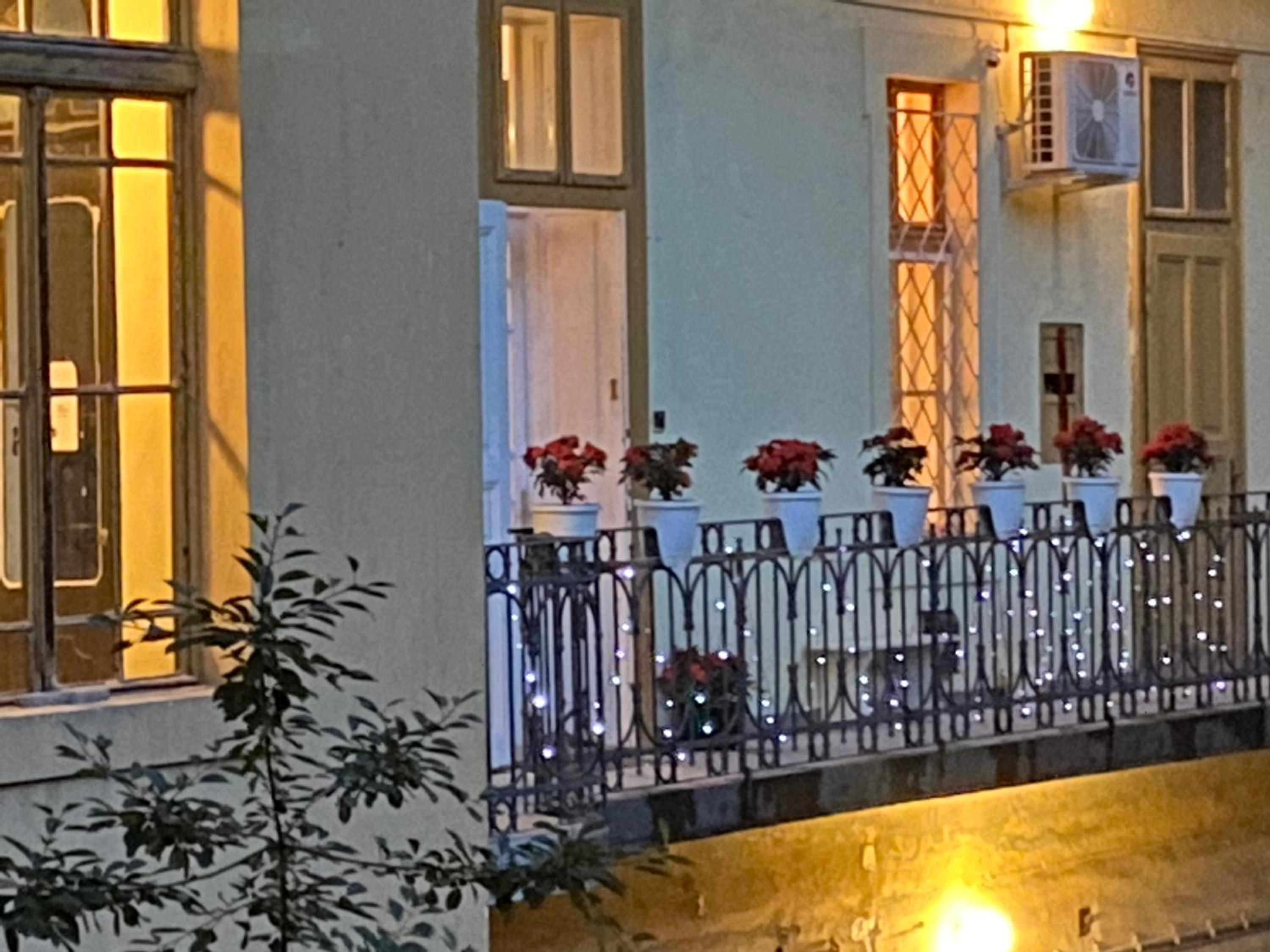 Schäffer Palace view 2